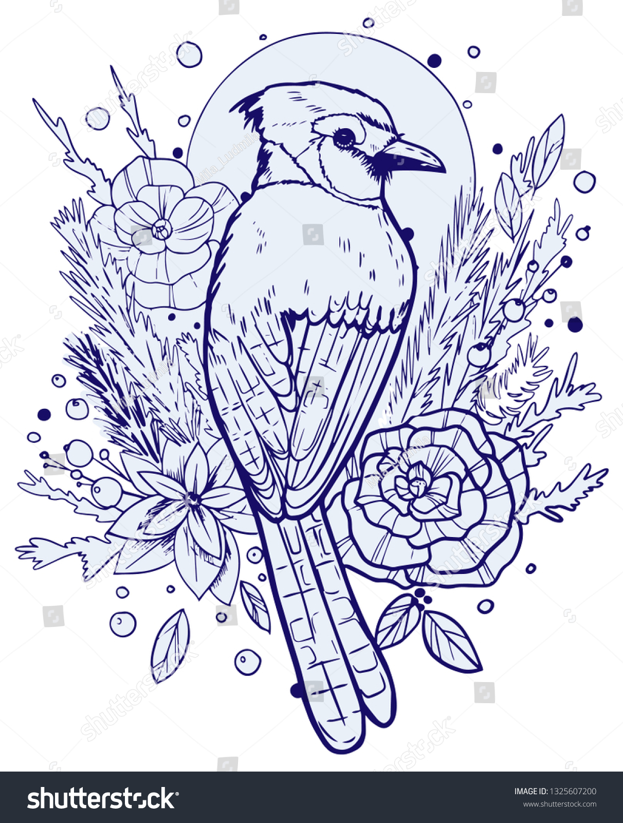 Blue Jay Illustration Tshirt Design Tattoo Stock Vector Royalty Free