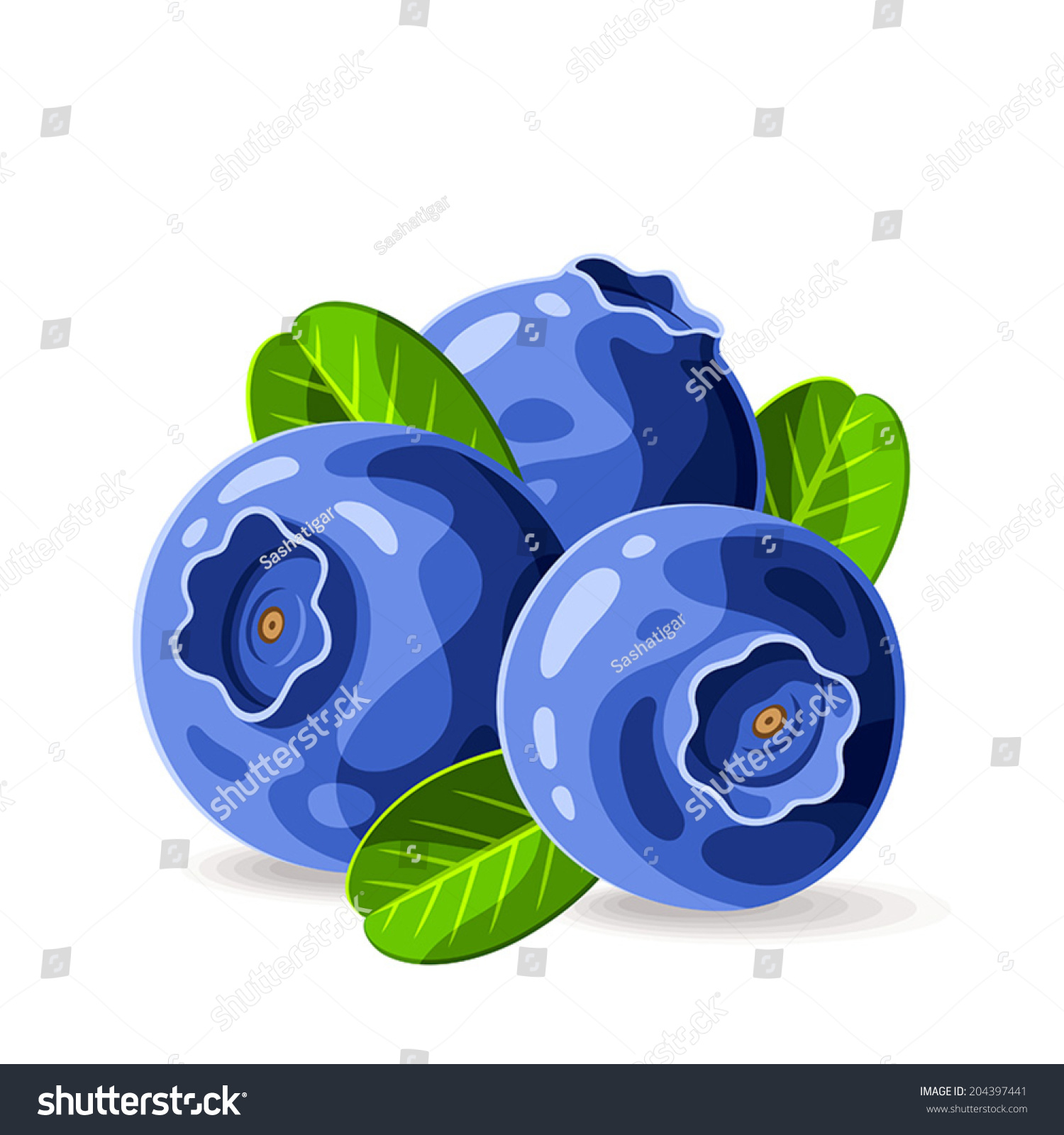 Blueberries Leaves Isolated On White 2 Stock Vector (Royalty Free ...