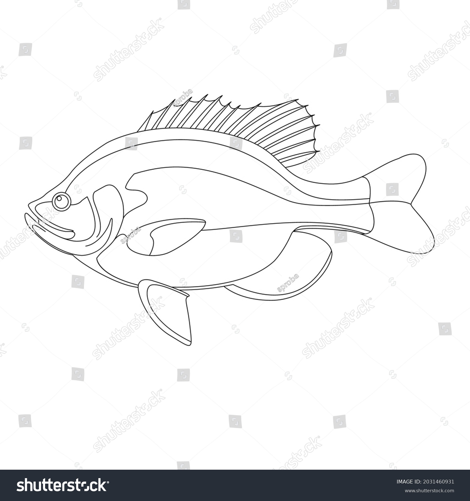 Bluegill Fish Vector Illustration Lining Draw Stock Vector (Royalty ...