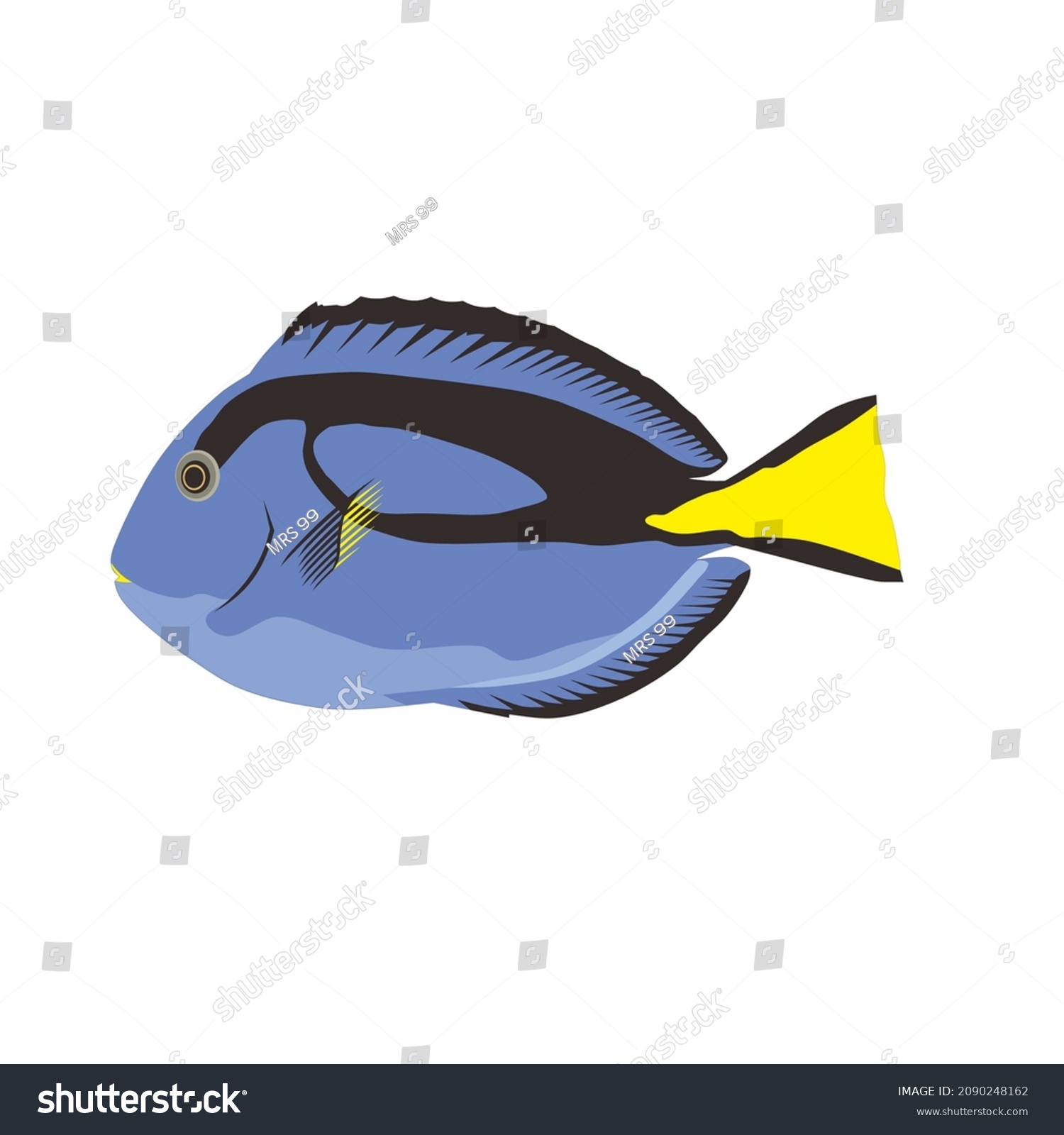 Bluetang Fish Vector Drawing Illustration Stock Vector (Royalty Free ...