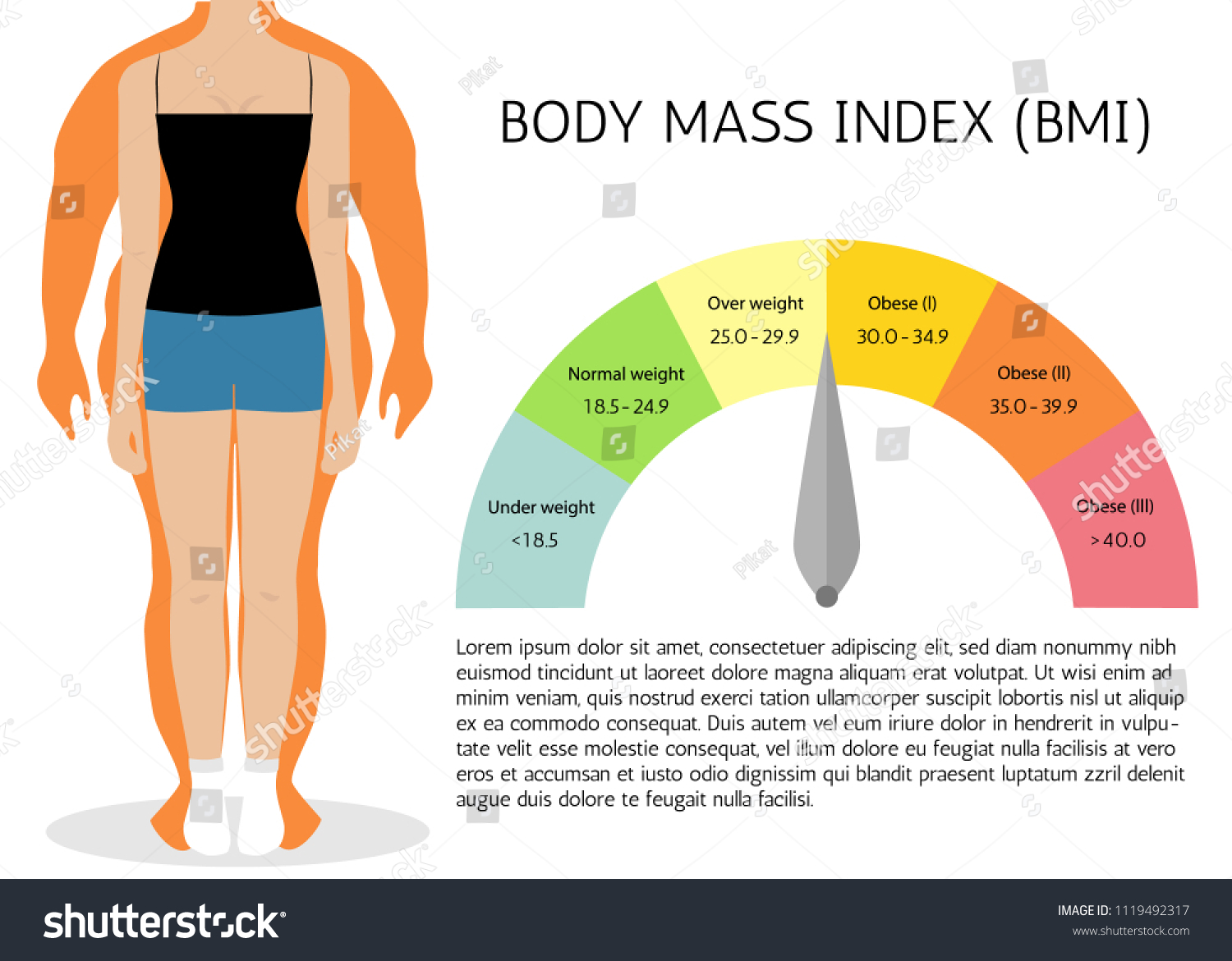 Bmi Body Mass Index Infographic Chartvector Stockvector Rechtenvrij 1119492317 Shutterstock 0162