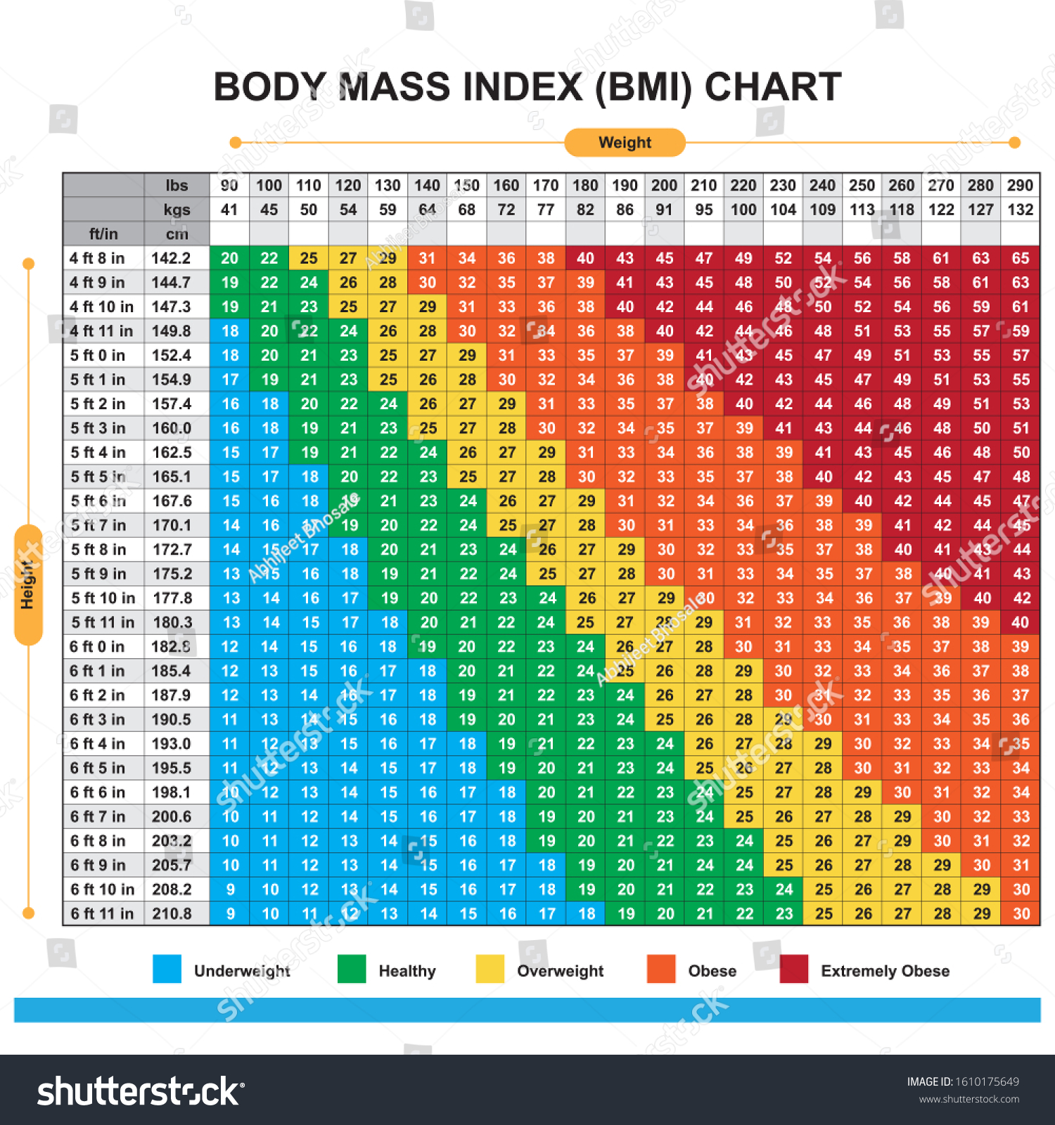 Body Mass Index Bmi Chart Stock Vector Royalty Free 1610175649