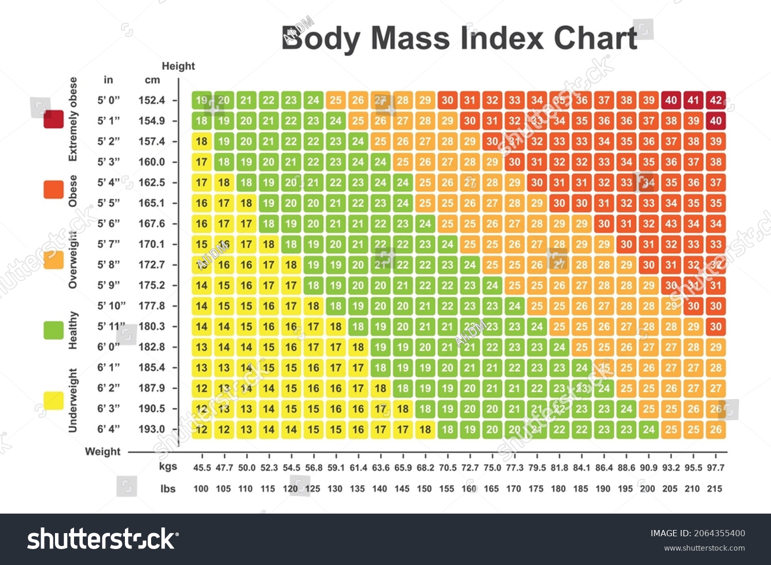 bmi-vector-images-stock-photos-vectors-shutterstock