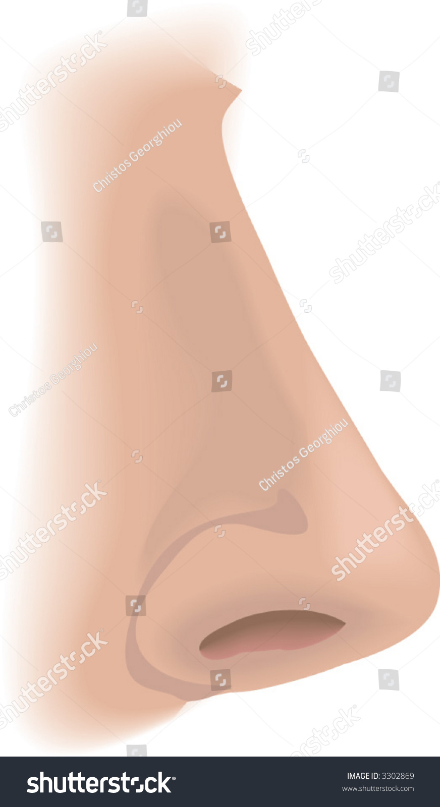 Body Parts Nose Illustration Human Nose Stock Vector 3302869 - Shutterstock