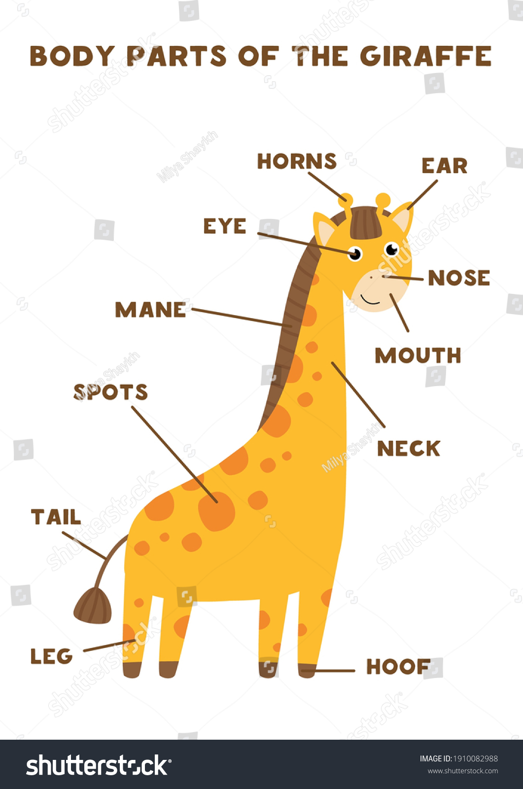 Giraffe body parts Stock Illustrations, Images & Vectors | Shutterstock