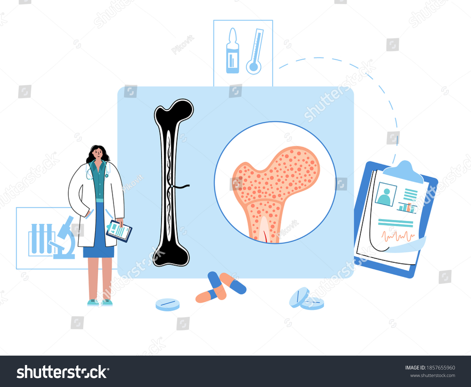 Bone Marrow Anatomical Icon Human Bone Stock Vector (Royalty Free ...