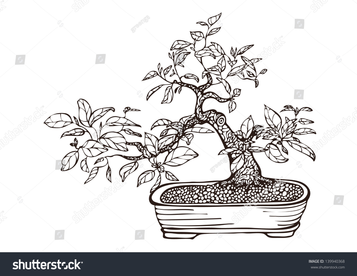  Bonsai  Tree Pot  Hand Drawn Vector  Stock Vector  139940368 