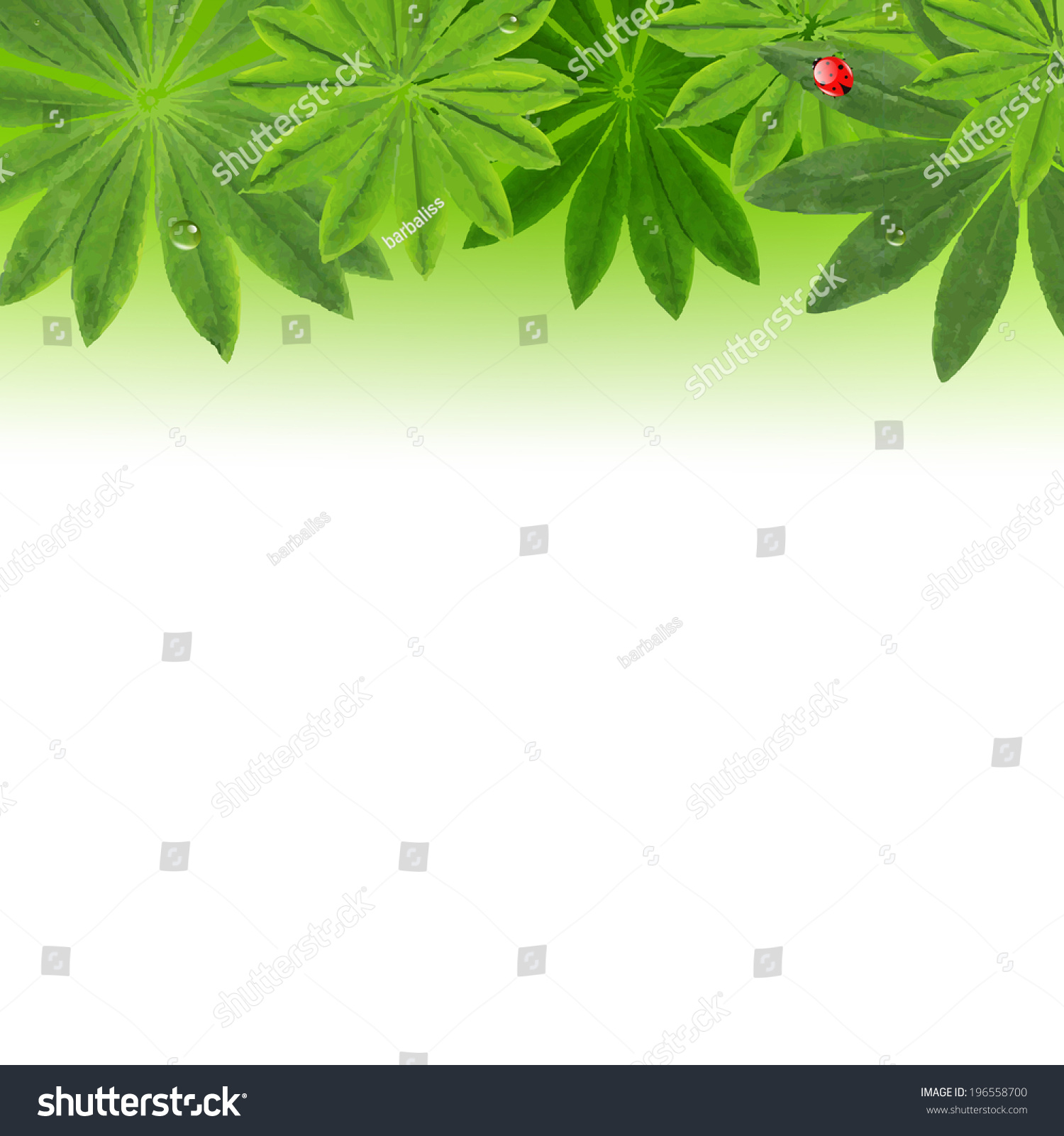 green leaves with ladybug on white background clip art preview