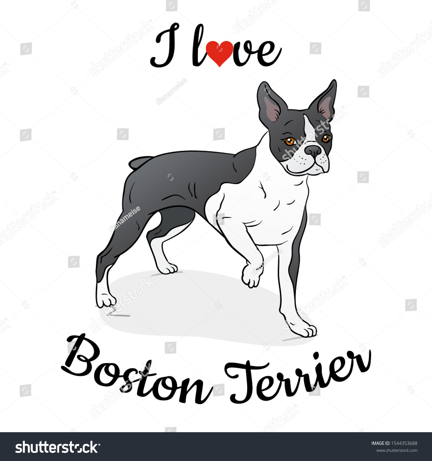i love boston terriers
