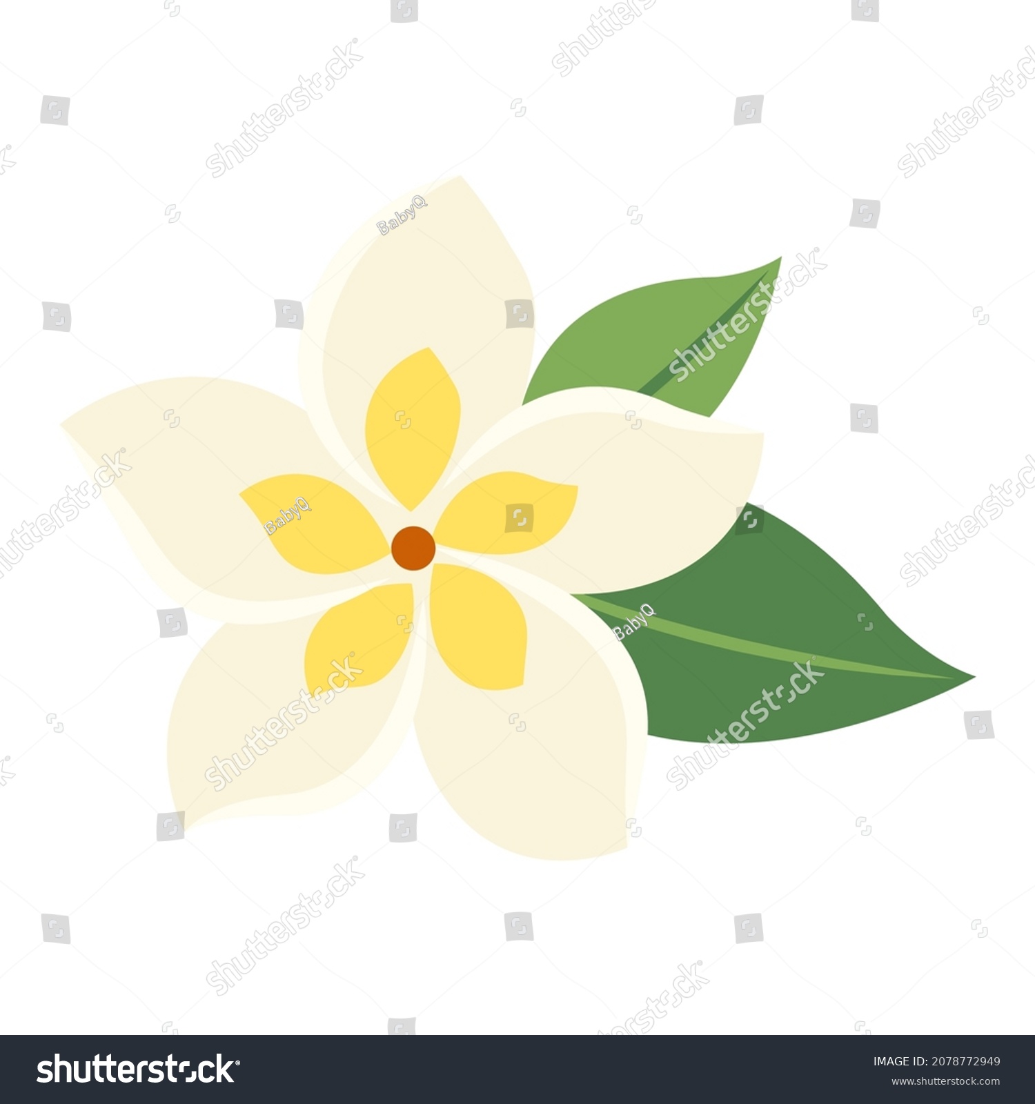 Botanic Flower Frangipani Cartoon Vector Isolated Stock Vector (Royalty ...