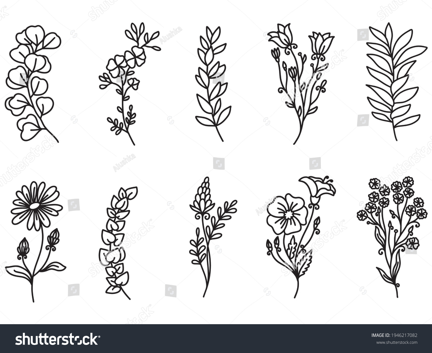 SVG of Botanical Floral Wildflowers Clipart. Summer Flowers and Plants. Vector illustration. svg