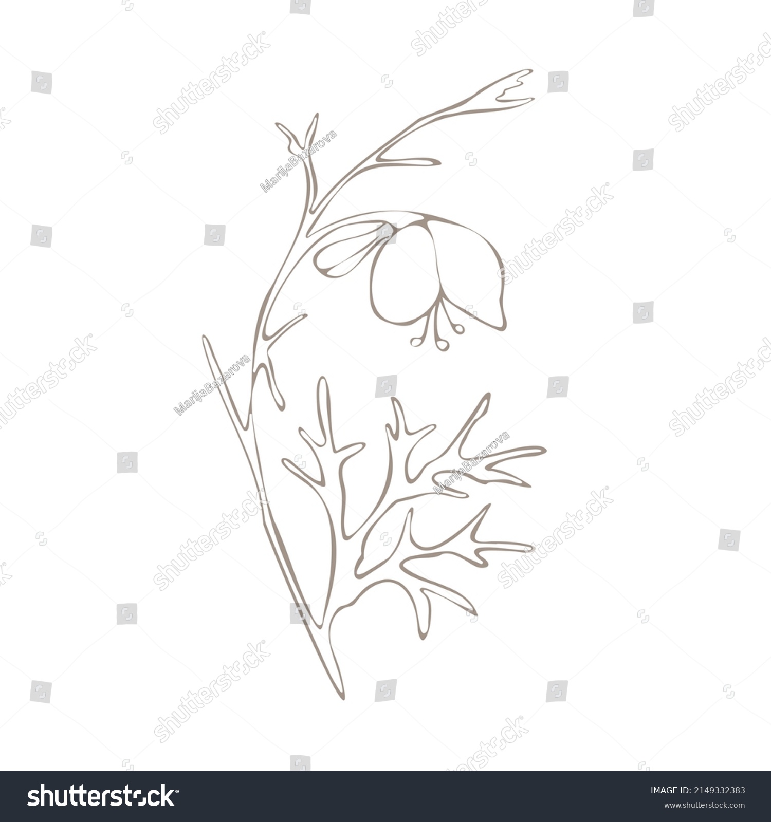 Botanical Illustration Aconitum Line Art Stock Vector (Royalty Free ...