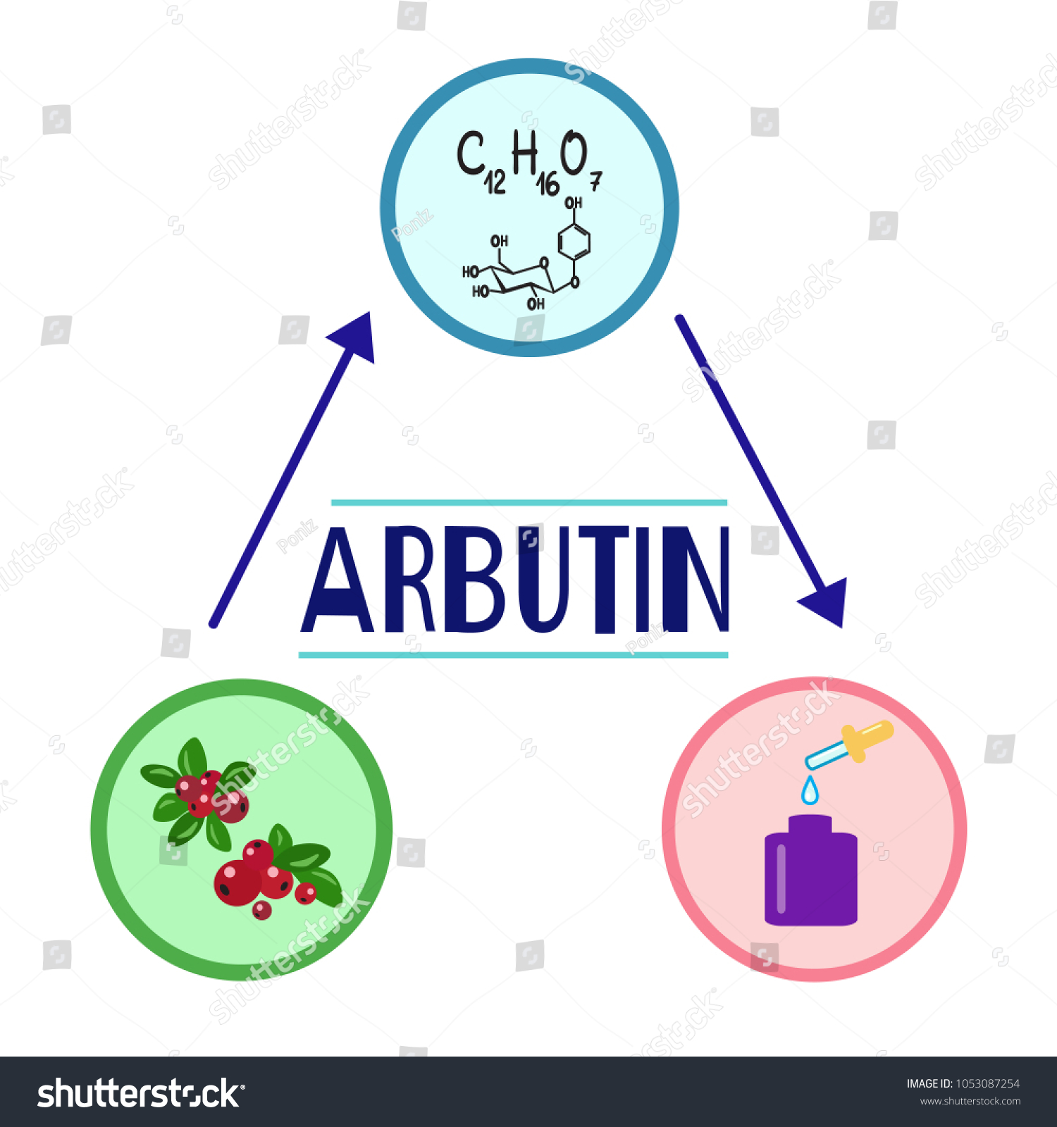 SVG of Bottle of cream with the arbutin. The berries of bearberry and cowberry. Chemical formula and graphical scheme of arbutin. Print for labels, advertising, price tag, brochure, booklet svg