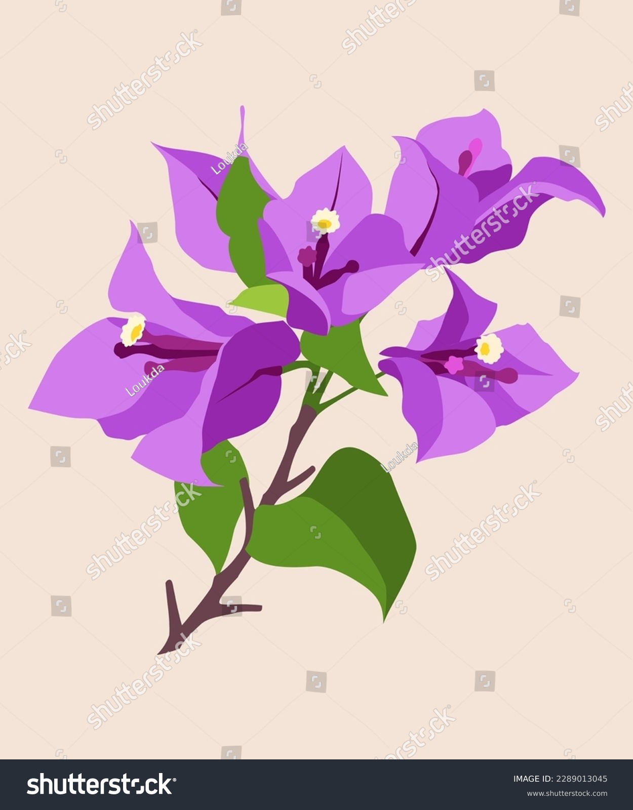 SVG of Bougainvillea Flower vector, Bougainvillea purple, Tropical Flowers Vector svg