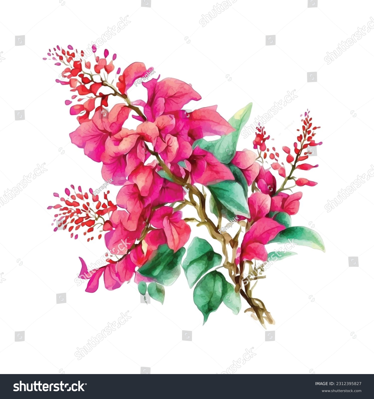 SVG of Bougainvillea flowers vector watercolor paint svg