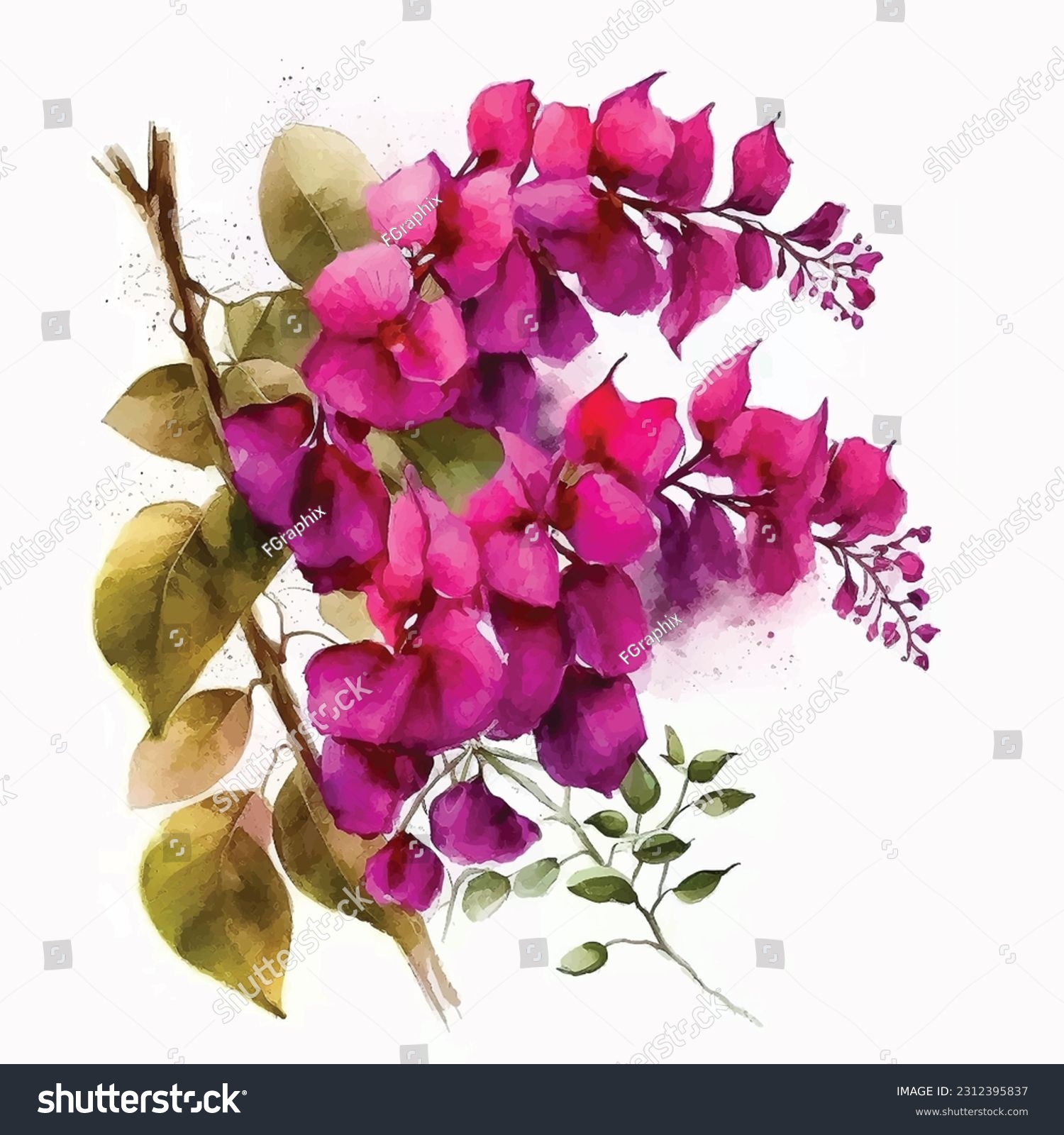 SVG of Bougainvillea flowers watercolor painting ilustration svg