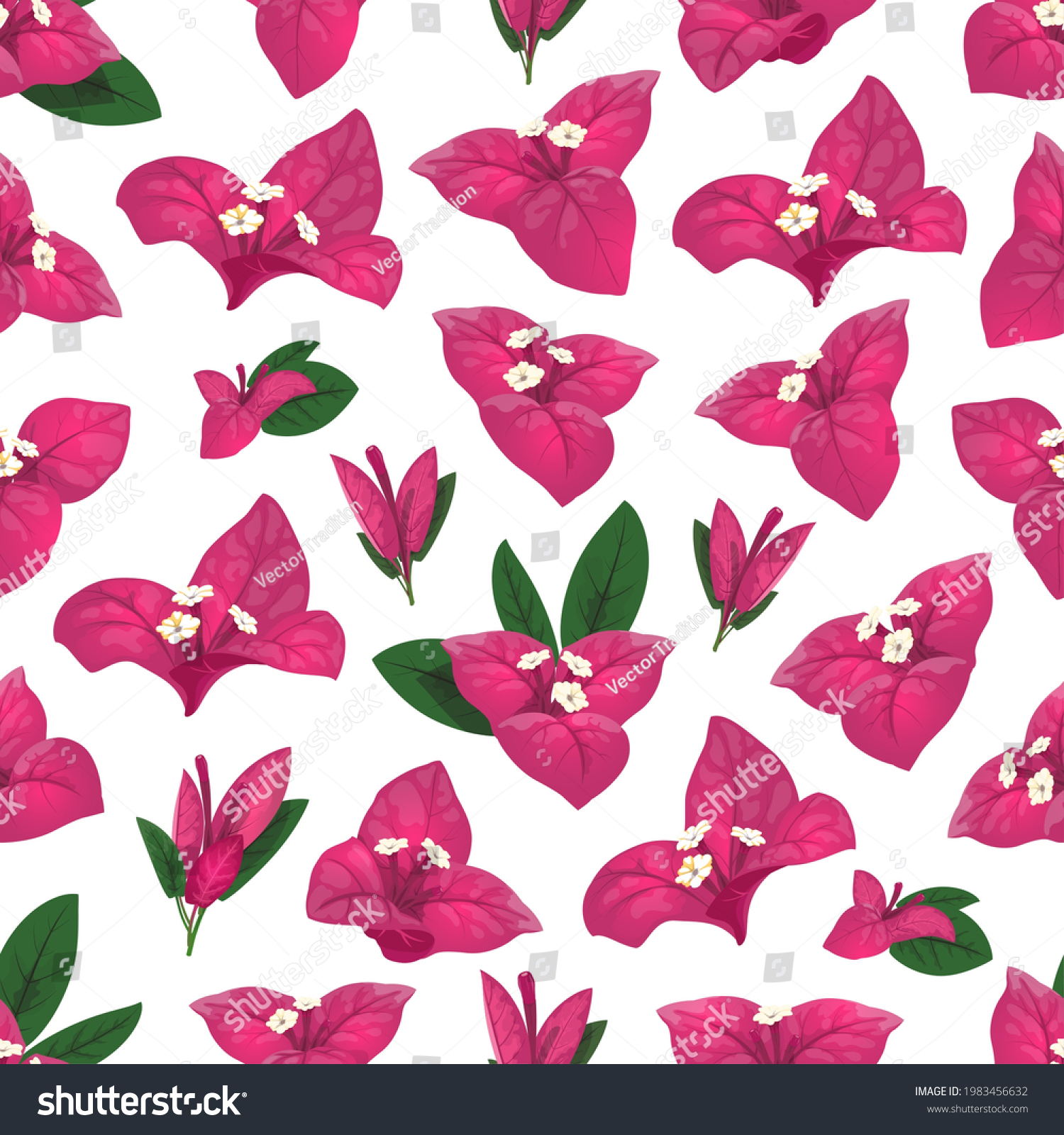 SVG of Bougainvillea seamless pattern of vector white flowers, pink and green leaves. Floral background of blooming bougainvillea branches and vines, blossoms of exotic tropical evergreen plant svg