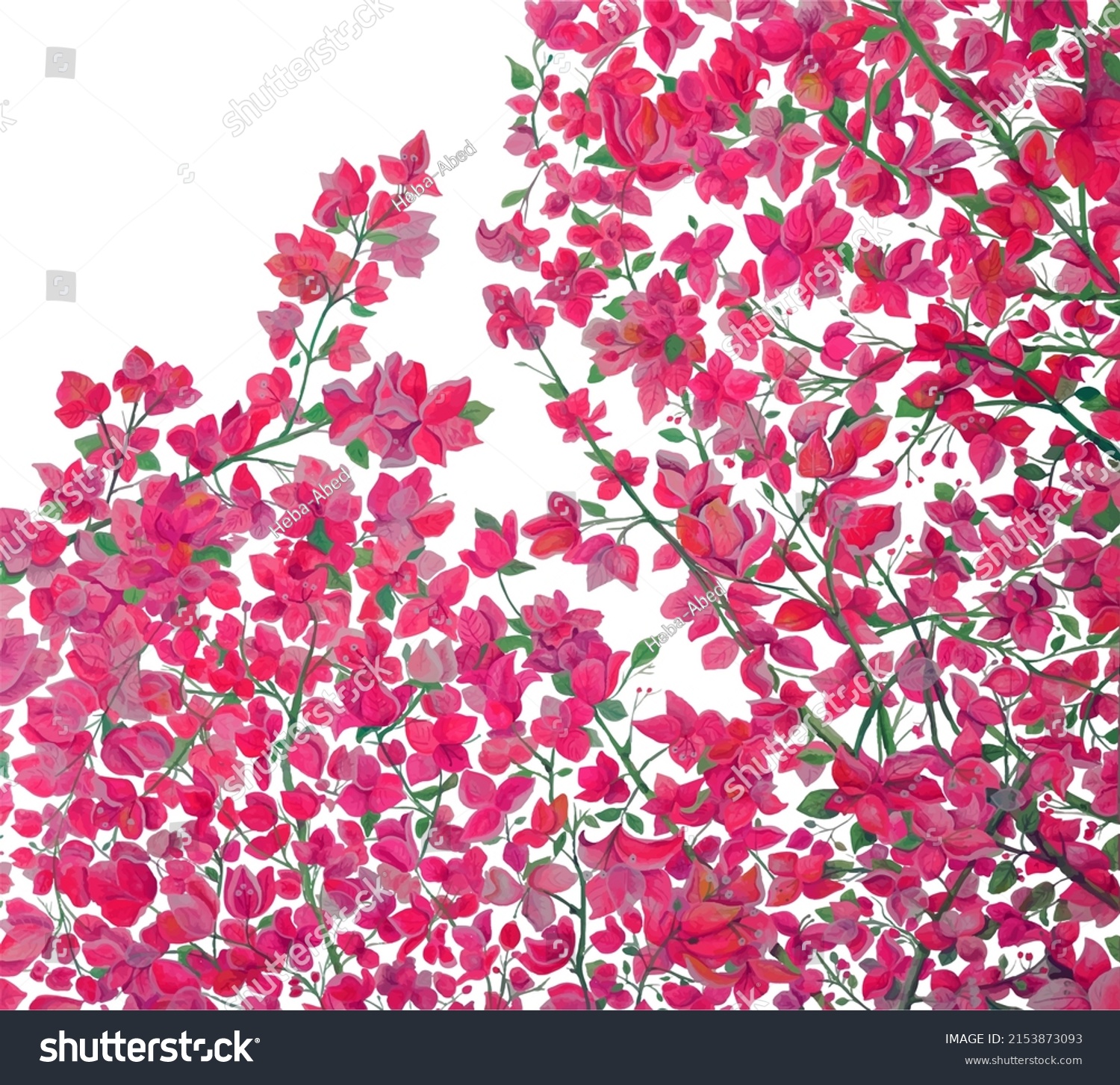 SVG of Bougainvillea tree hand drawing watercolor svg