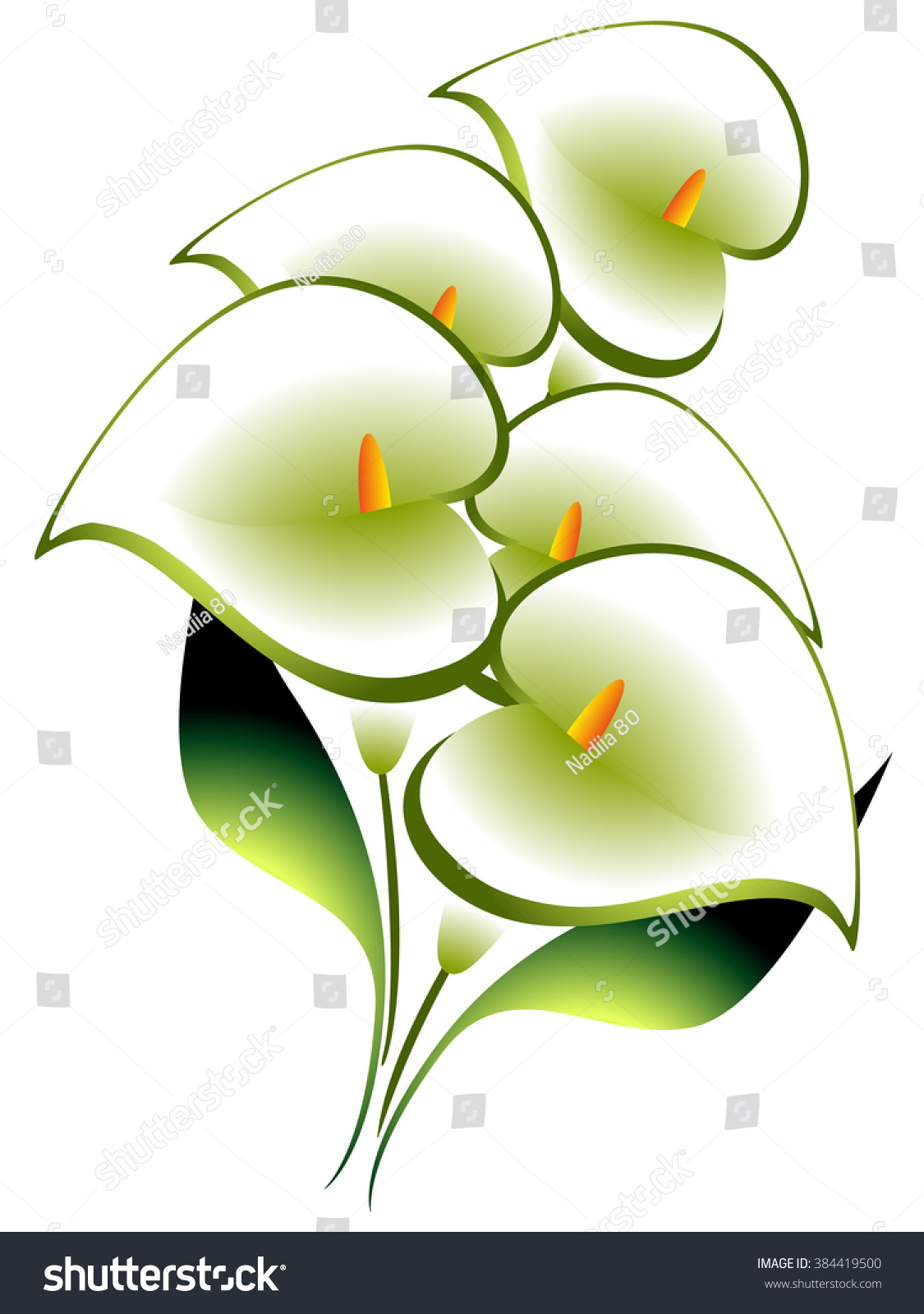 Bouquet Calla Stock Vector (Royalty Free) 384419500 | Shutterstock