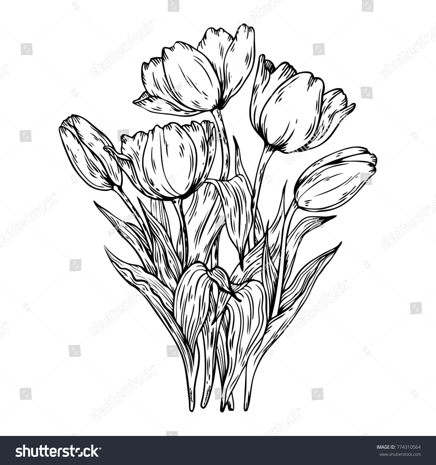 Bouquet Tulips Flowers Engraving Vector Illustration Stock Vector ...