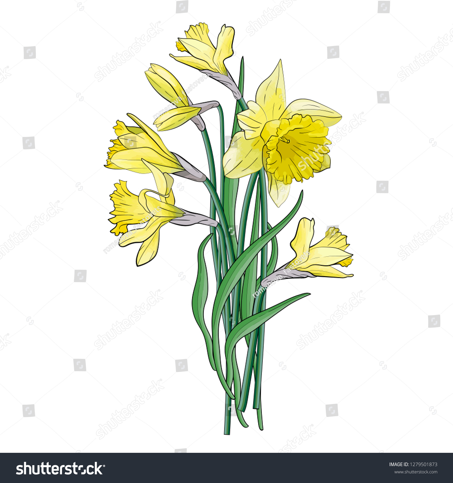SVG of Bouquet of yellow narcissus with green leaves. Posters, textile etc. Cartoon narcissus vector illustration. Daffodil flower or narcissus isolated on white background cutout. Doodle svg