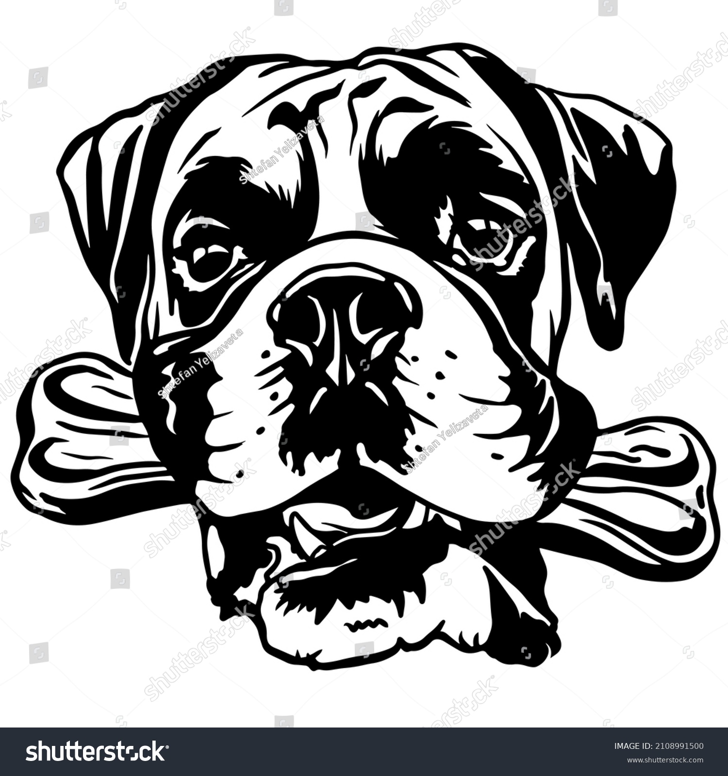 SVG of Boxer dogs. Boxer dog breed. black and white clipart dog head isolated on white background. Dog holding a bone in his teeth. Cute dog svg
