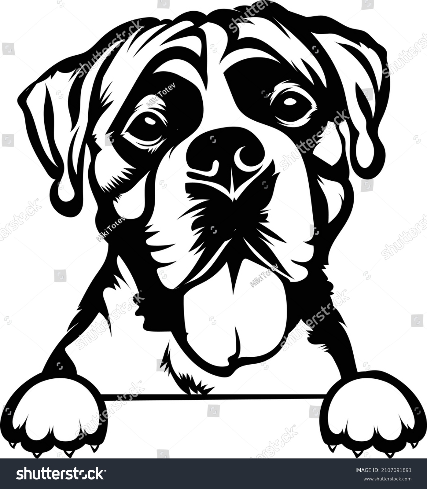 Boxer Peeking Dog Boxer Head Vector Stock Vector (Royalty Free) 2107091891