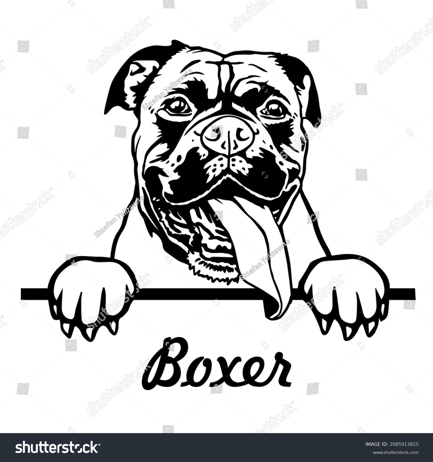 SVG of Boxer peeping dog, vector illustration. Boxer head with paws svg . File for printing and cutting. Black and white clipart svg