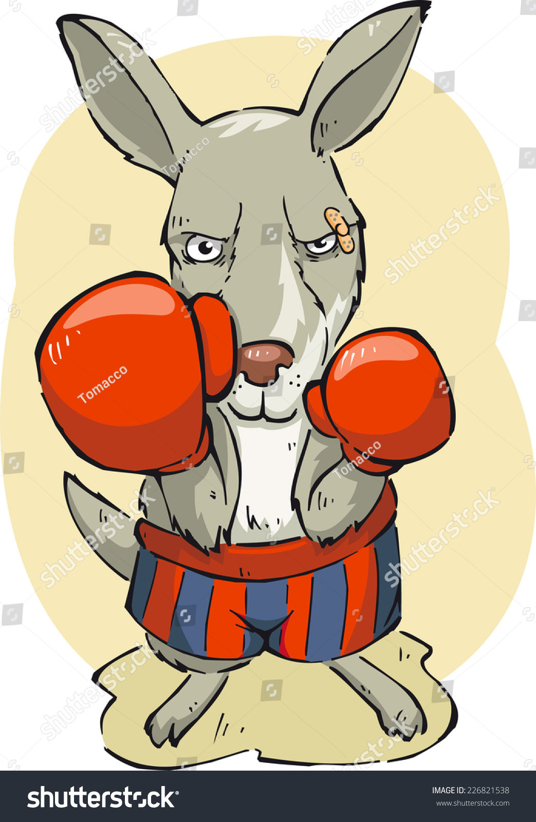 Boxing Kangaroo Cartoon Illustration - 226821538 : Shutterstock