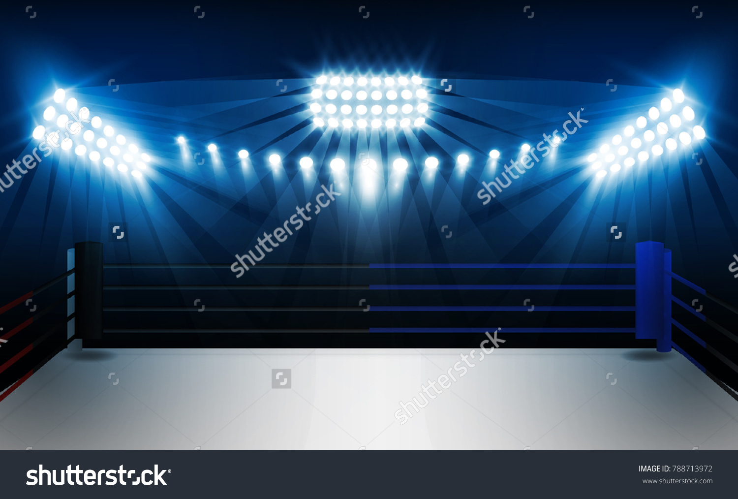 Boxing Ring Arena Floodlights Vector Design Stock Vector (Royalty Free ...