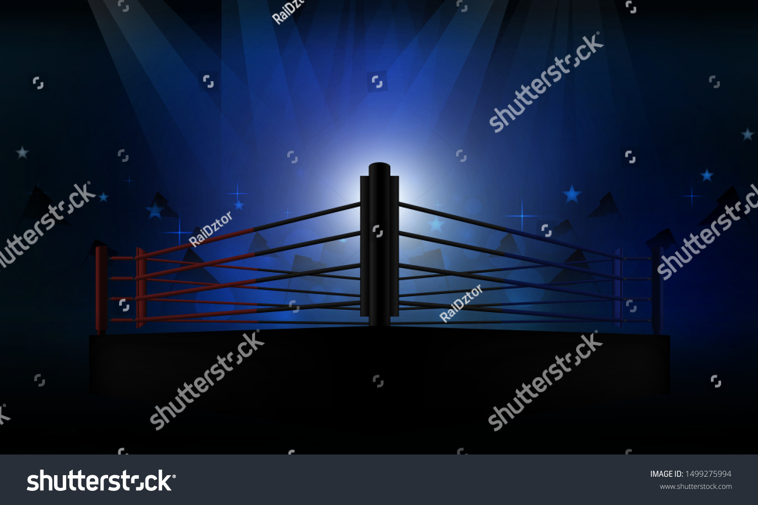 Boxing Ring Arena Spotlight Floodlights Vector Stock Vector (Royalty ...