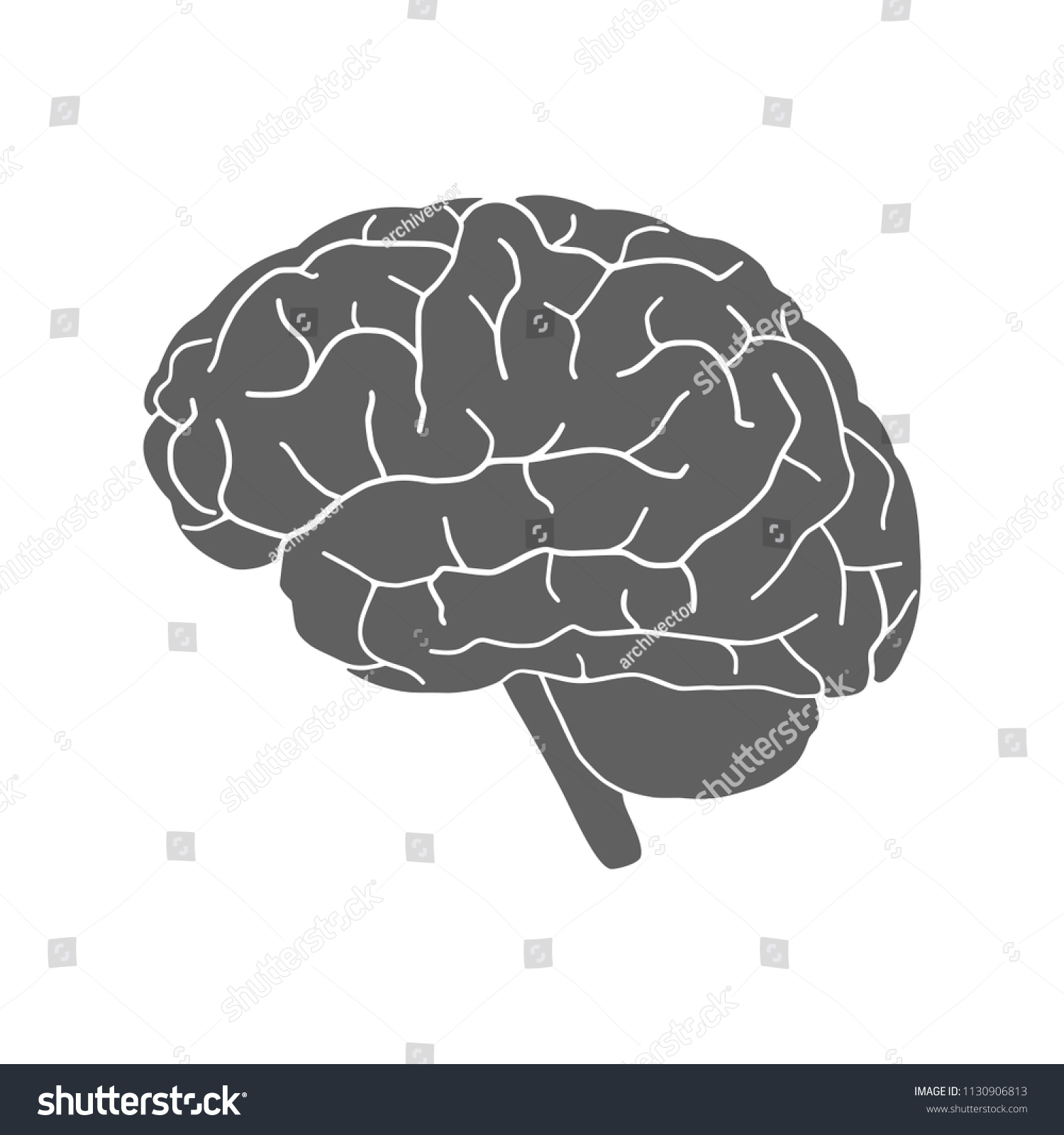 Gehirn Menschliches Organ Symbol Human Hirn Grafik Zeichen Hirngraues Stock Vektorgrafik Lizenzfrei