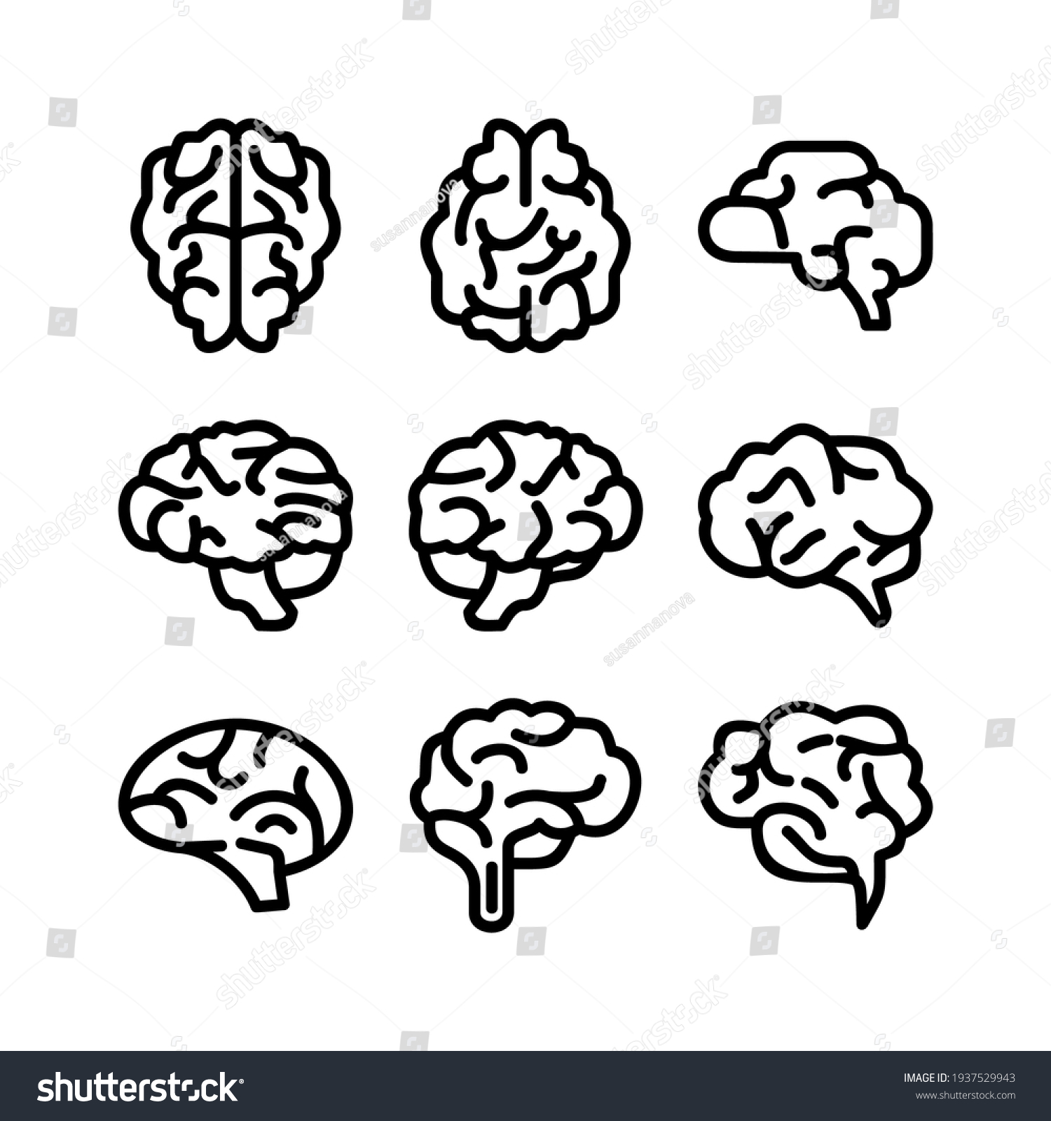 Brain Images, Stock Photos & Vectors | Shutterstock