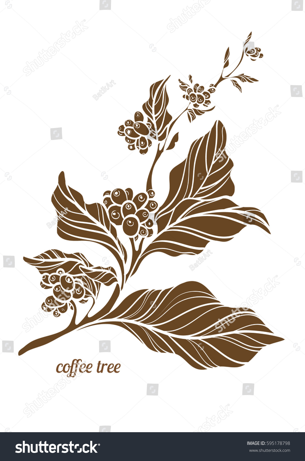 Branch Of Coffee Tree With Leaves And Natural Beans Botanical Contour Drawing Shape Isolated On White Background Branch Of Coffee Tree With Leaves And Natural Beans Botanical Contour Drawing Shape Isolated On White Background