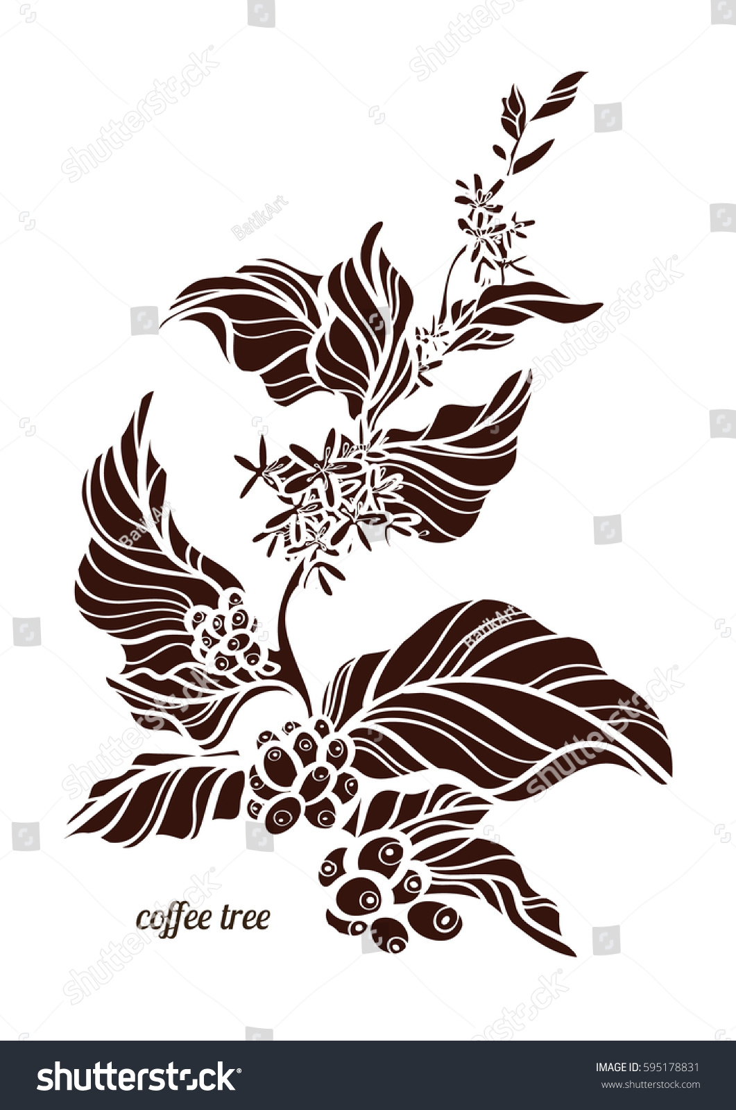 Branch Of Coffee Tree With Leaves Flowers And Natural Beans Botanical Contour Drawing Vector Illustration Isolated On White Background Eps10 Branch Of Coffee Tree With Leaves Flowers And Natural Beans Botanical Contour Drawing Vector Illustration Isolated On White Background Eps10