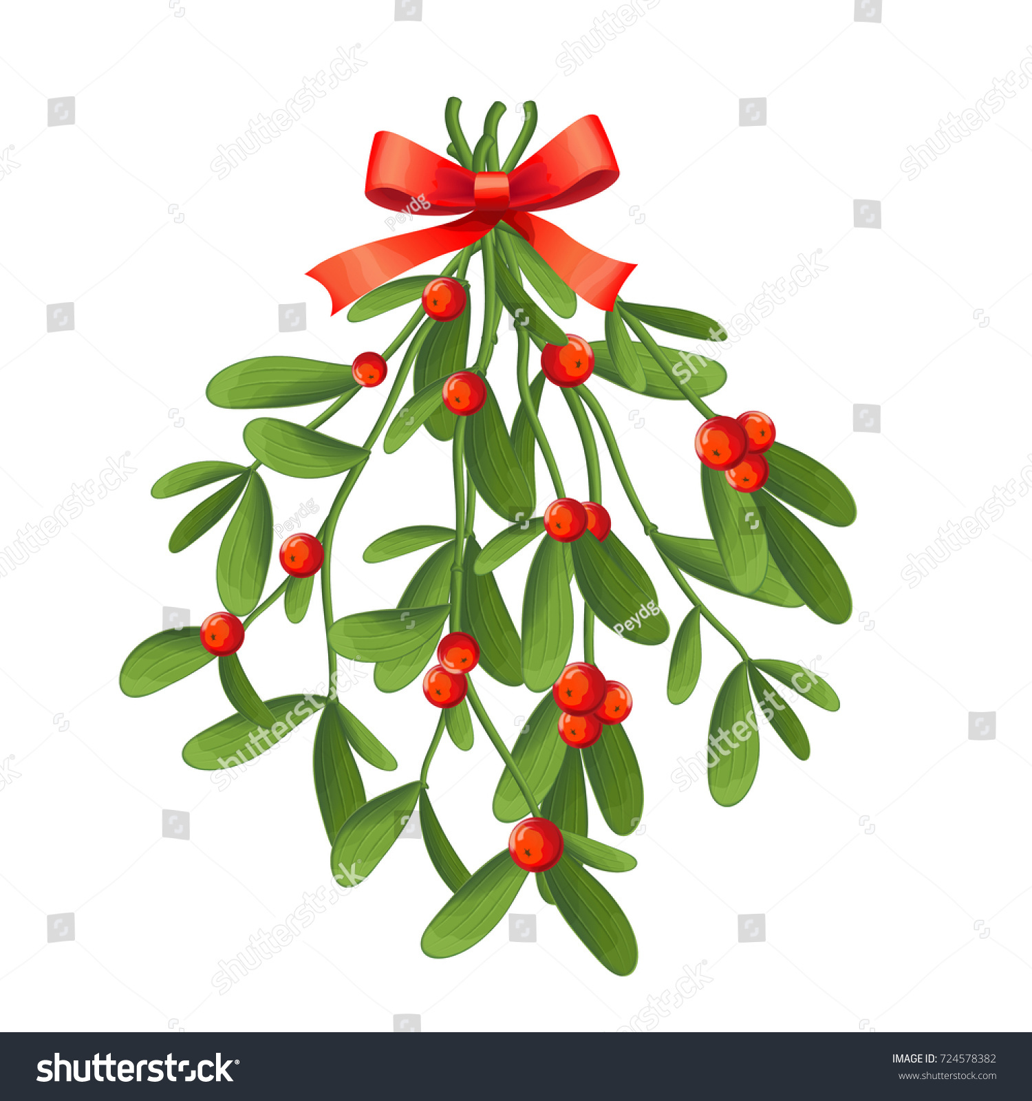branch mistletoe berries red bow bouquet stock vector branch mistletoe berries red bow bouquet stock vector