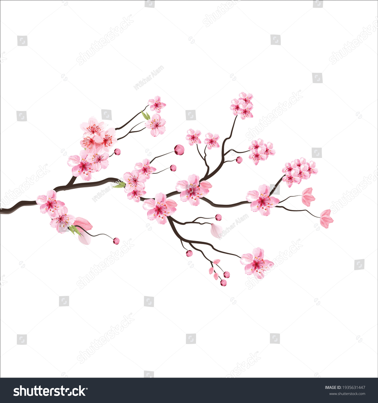 Branch Tree Vector Illustration Summer Clipart Stock Vector (Royalty ...