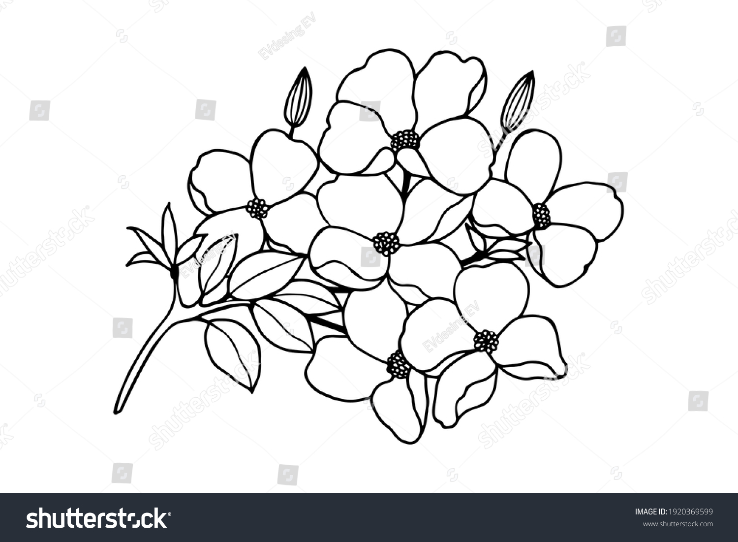 SVG of Branch with flowers. Dogwood. Vector stock illustration eps10. Isolate on white background, outline, hand drawing. svg