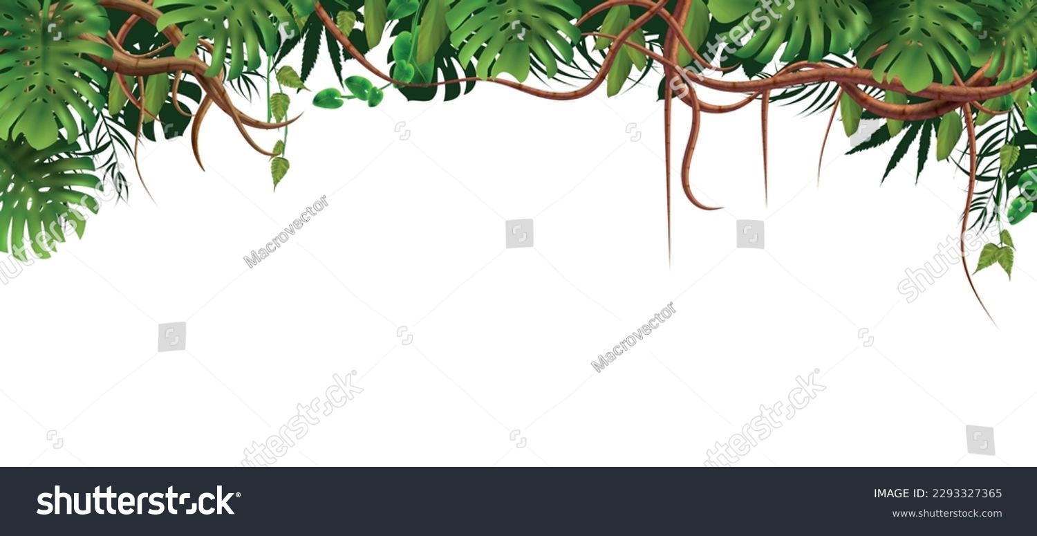 SVG of Branches tropical jungle composition with top frame of exotic leaves and vines with empty space below vector illustration svg