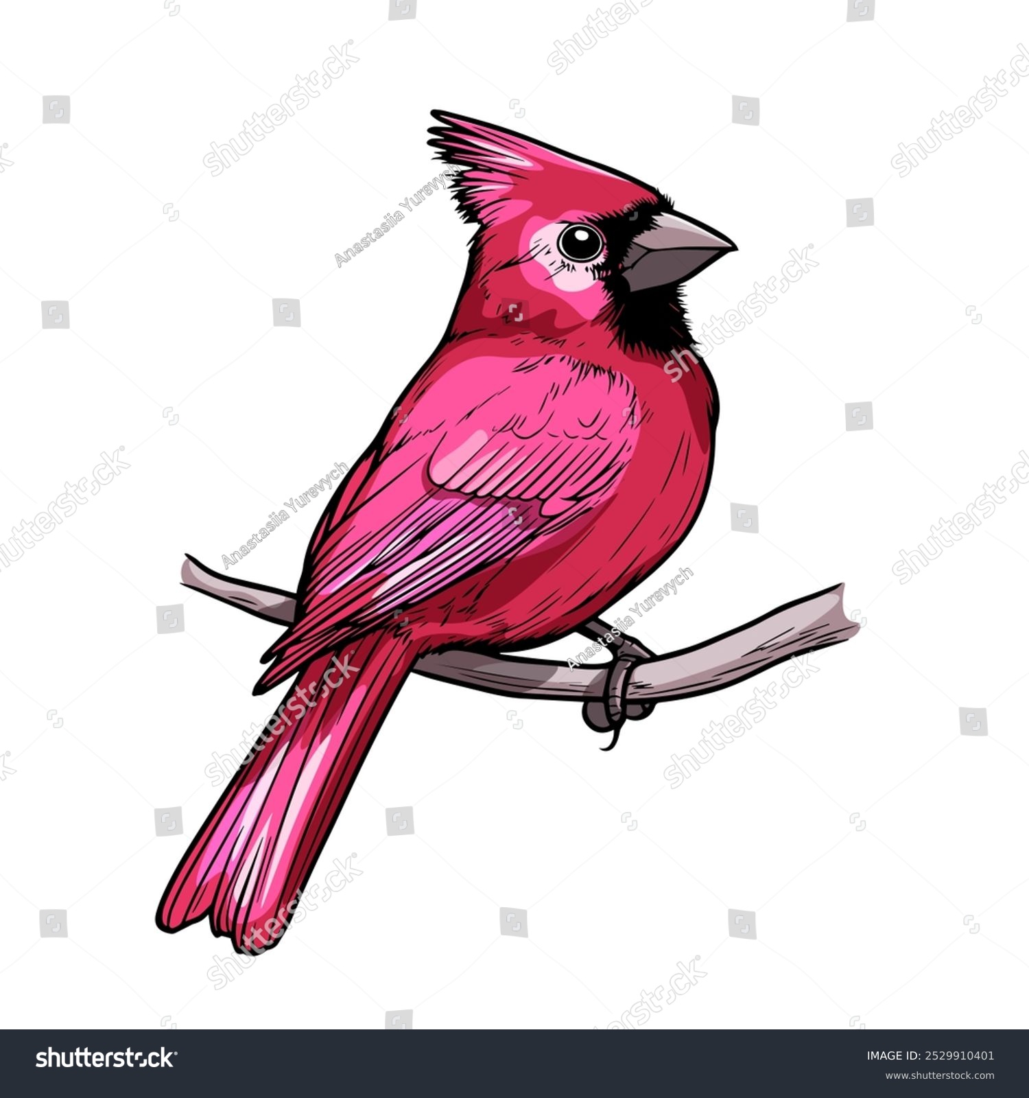 recommend clip art: Bright Red Cardinal Bird Perched on Branch Illustration. Vibrant Cardinal Bird with Red Feathers Artwork