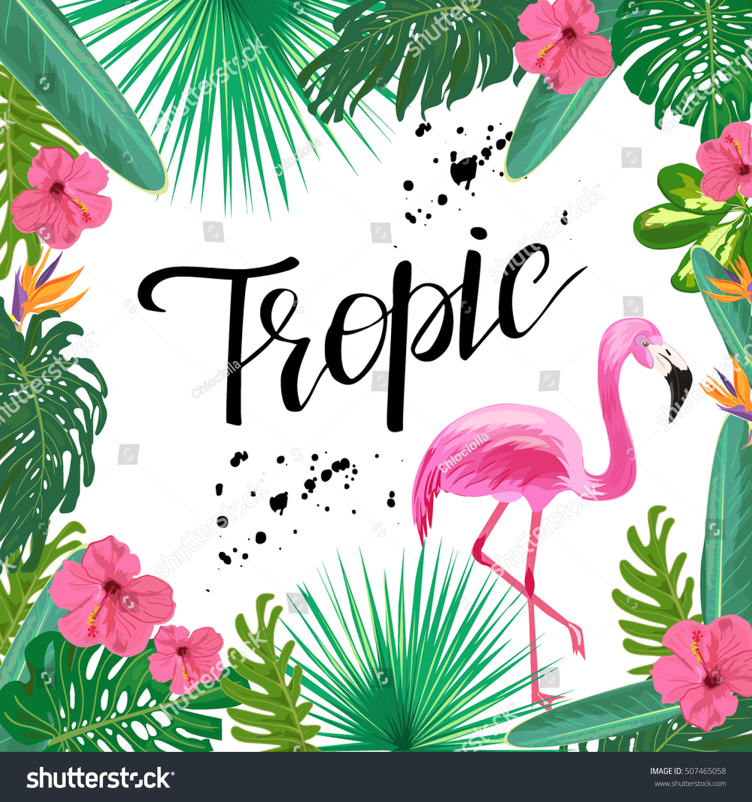 tropical wild templat bright template tropical plants flowers pink stock vector tropical wild templat bright template tropical plants flowers pink stock vector