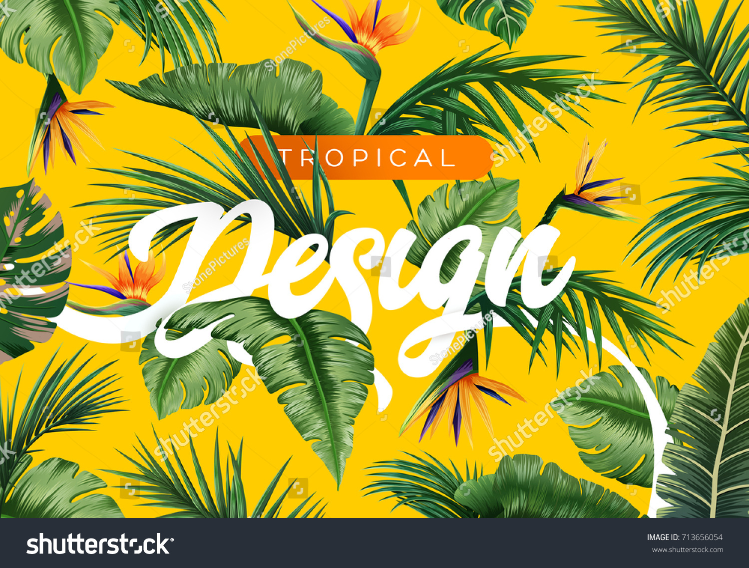 Bright Tropical Background Jungle Plants Exotic Stock Vector Royalty Free 713656054