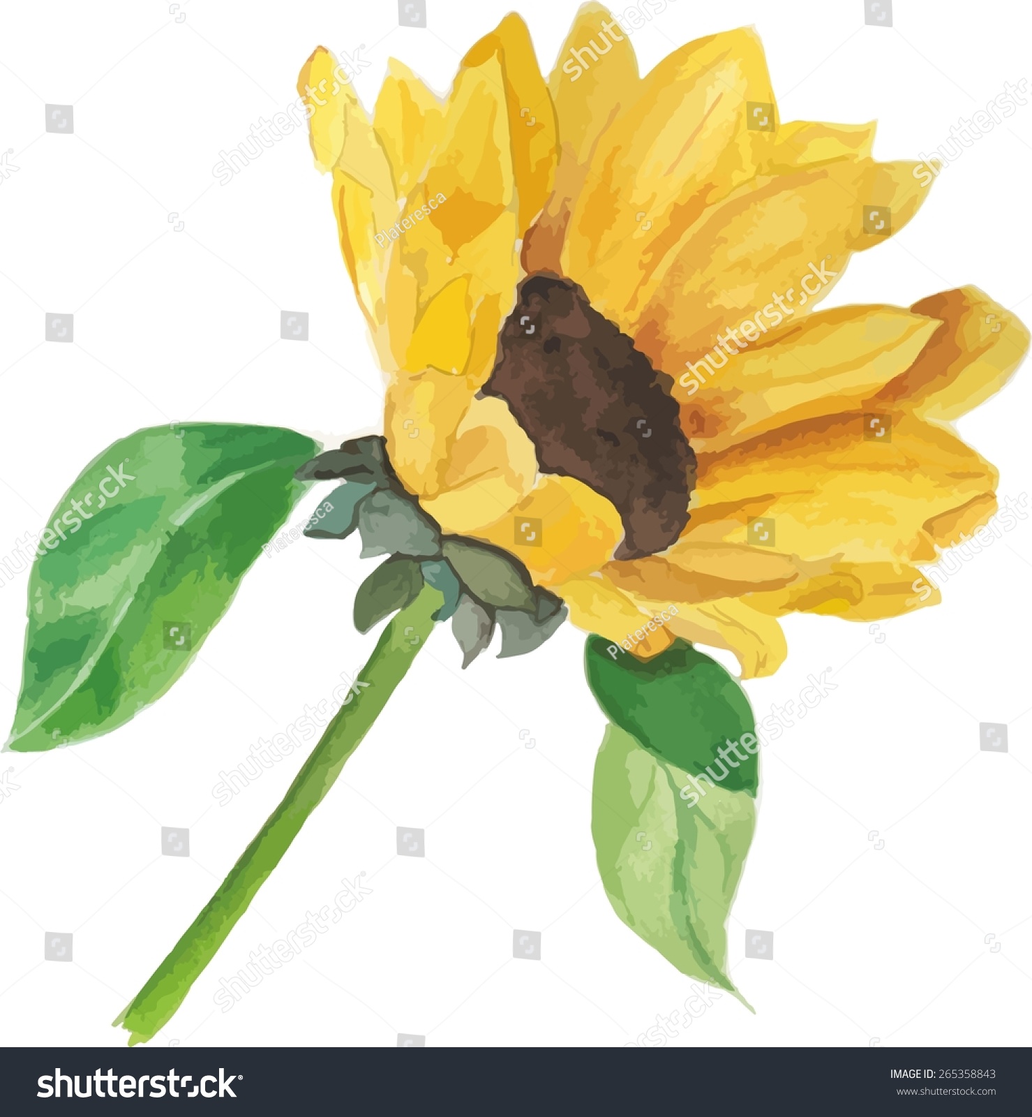 Bright Yellow Sunflower Vector Drawing vector de stock (libre de