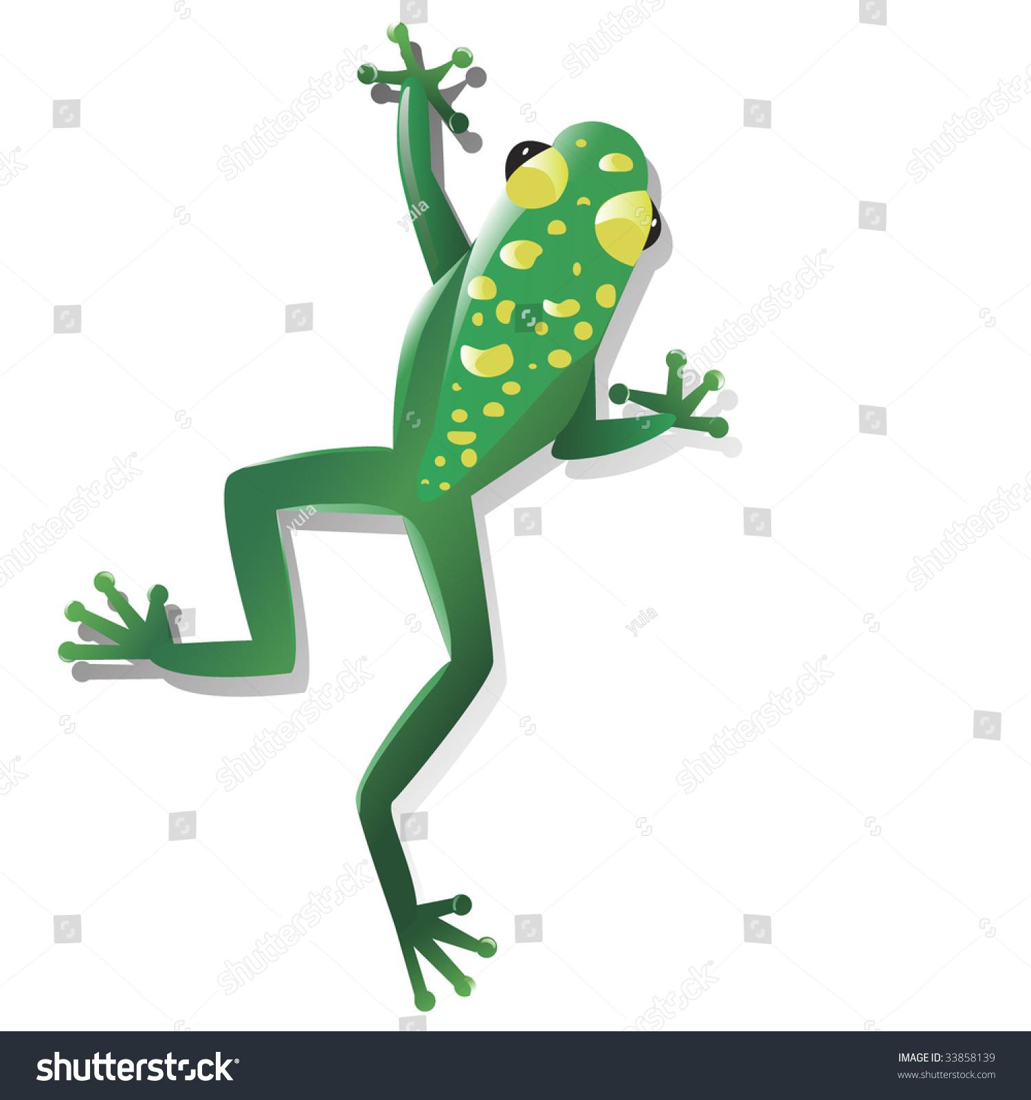 Brightly Colored Poison Tropical Frog Isolated Stock Vector (Royalty ...