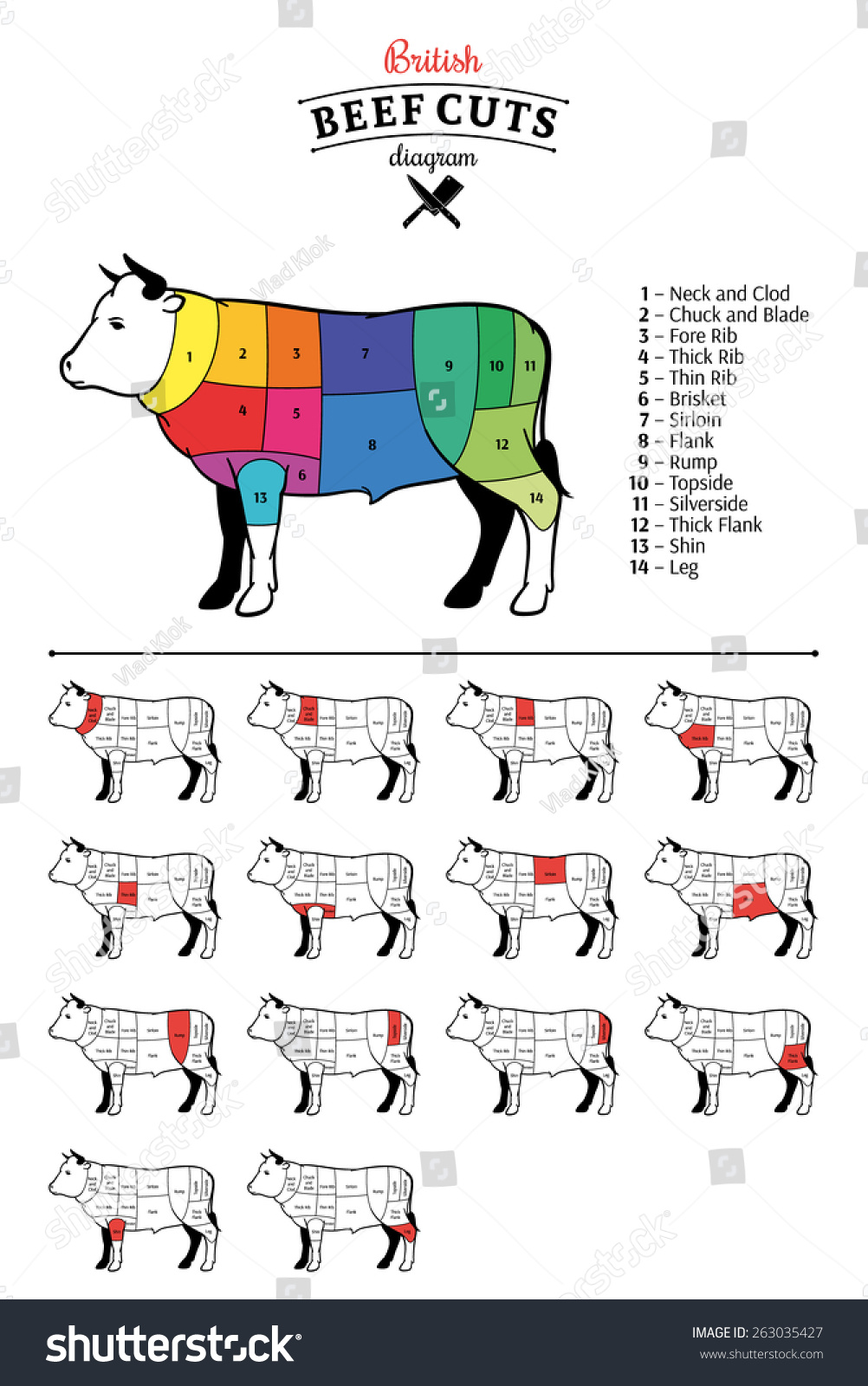 British Beef Cuts Diagram Arkivvektor Royaltyfri 263035427 7064