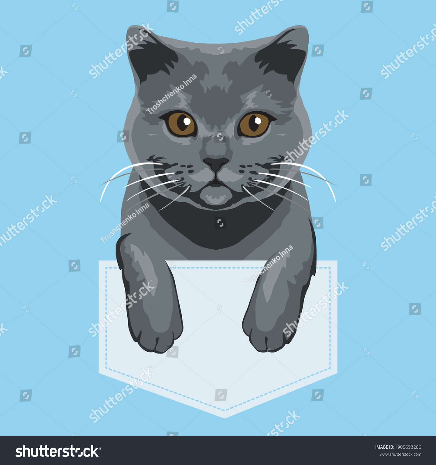 SVG of british cat in the pocket svg