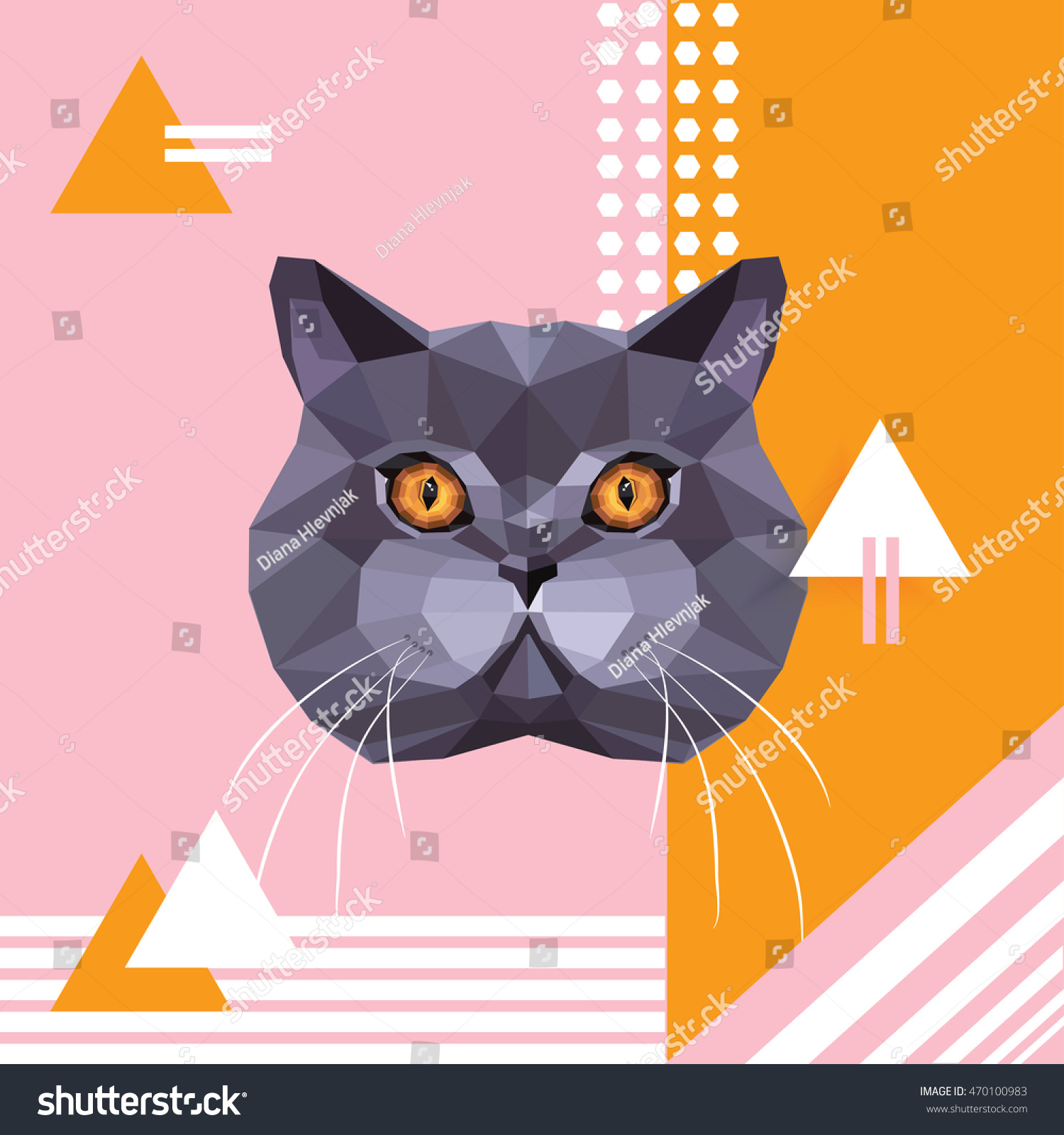 British Shorthair Cat Breed Portrait On Stock Image Download Now