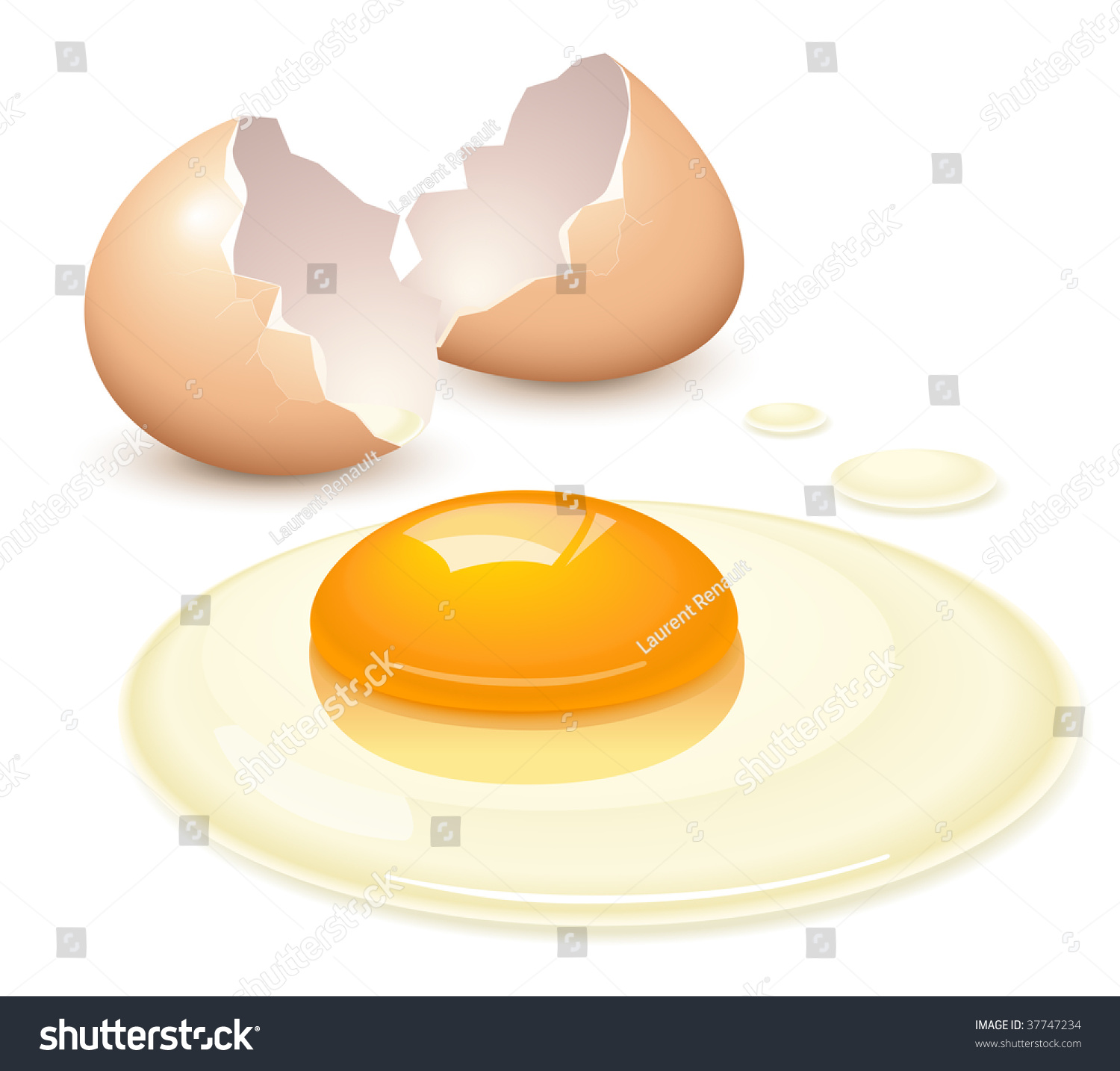 Broken Egg Stock Vector Illustration 37747234 : Shutterstock