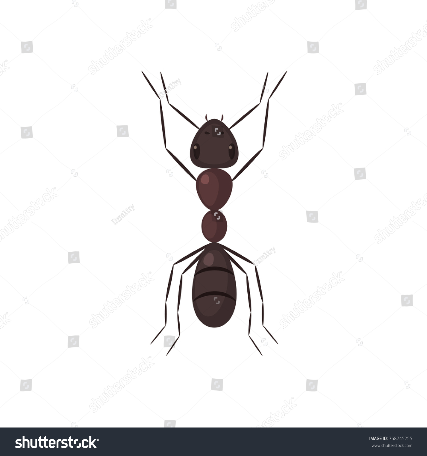 Brown Ant Top View Vector Illustration Stock Vector (Royalty Free ...