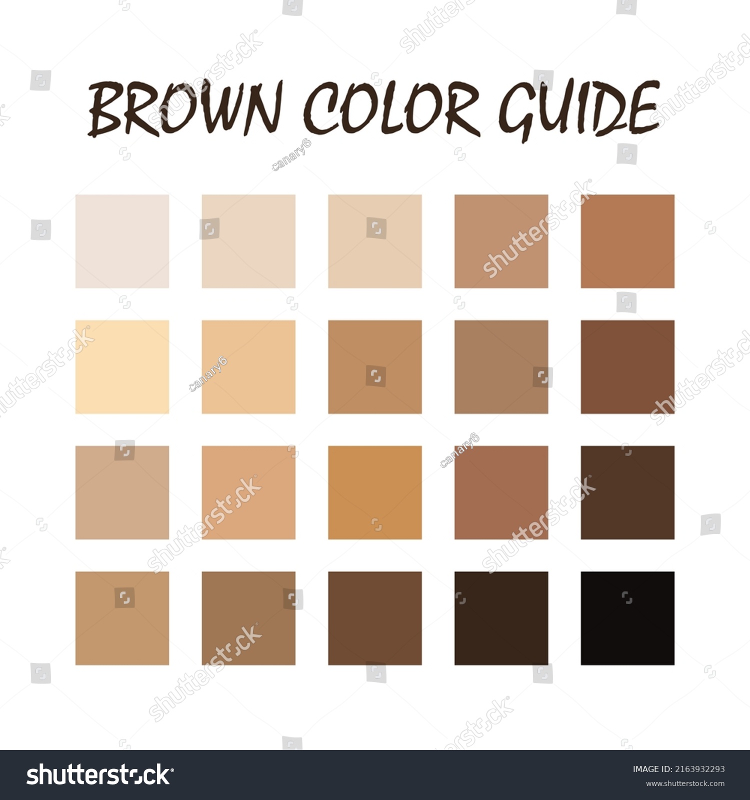 Brown Color Guide Palette Matching Color Stock Vector (Royalty Free ...